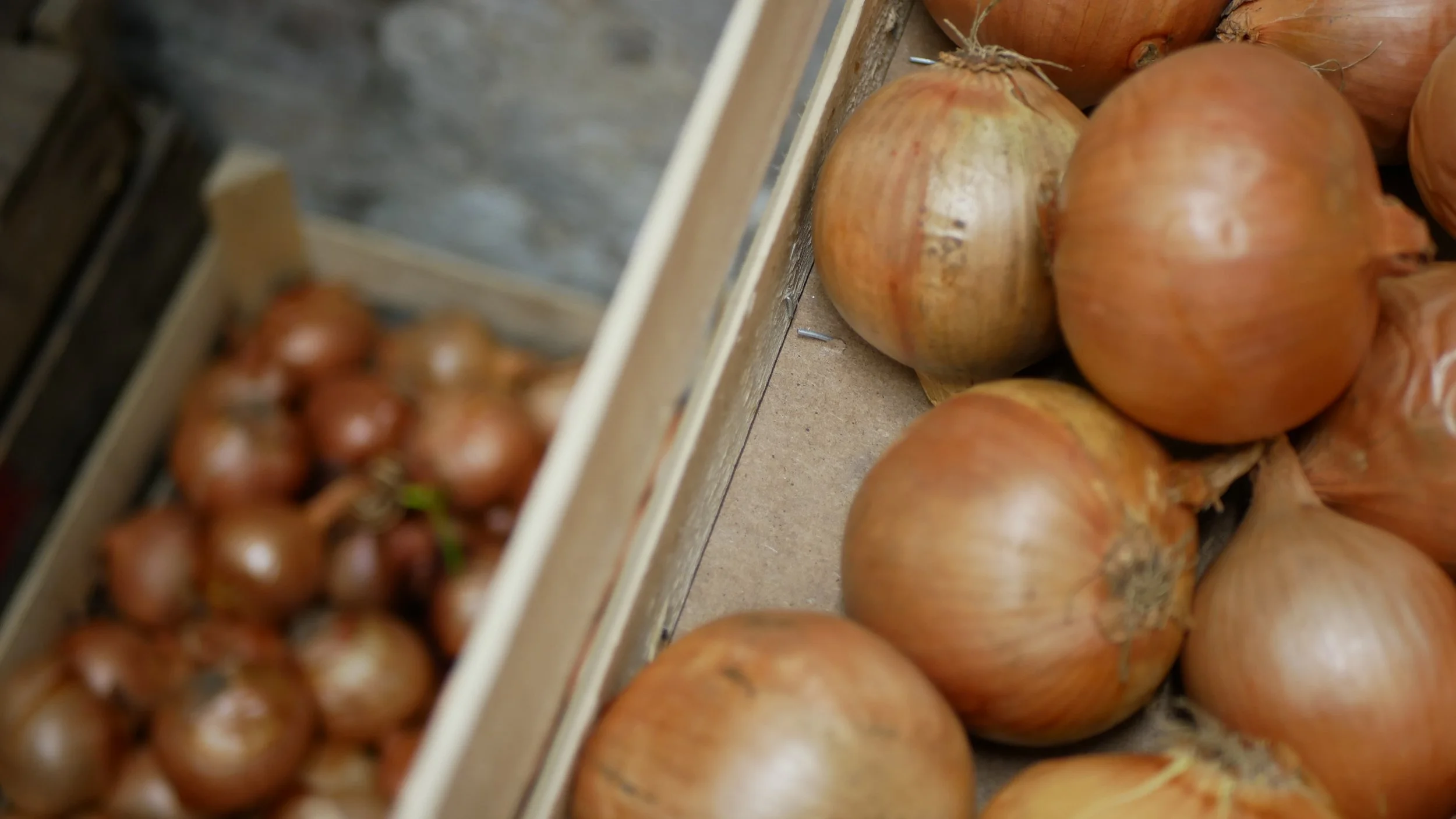 Close-up of yellow onions in a cardboard box at a grocery store.