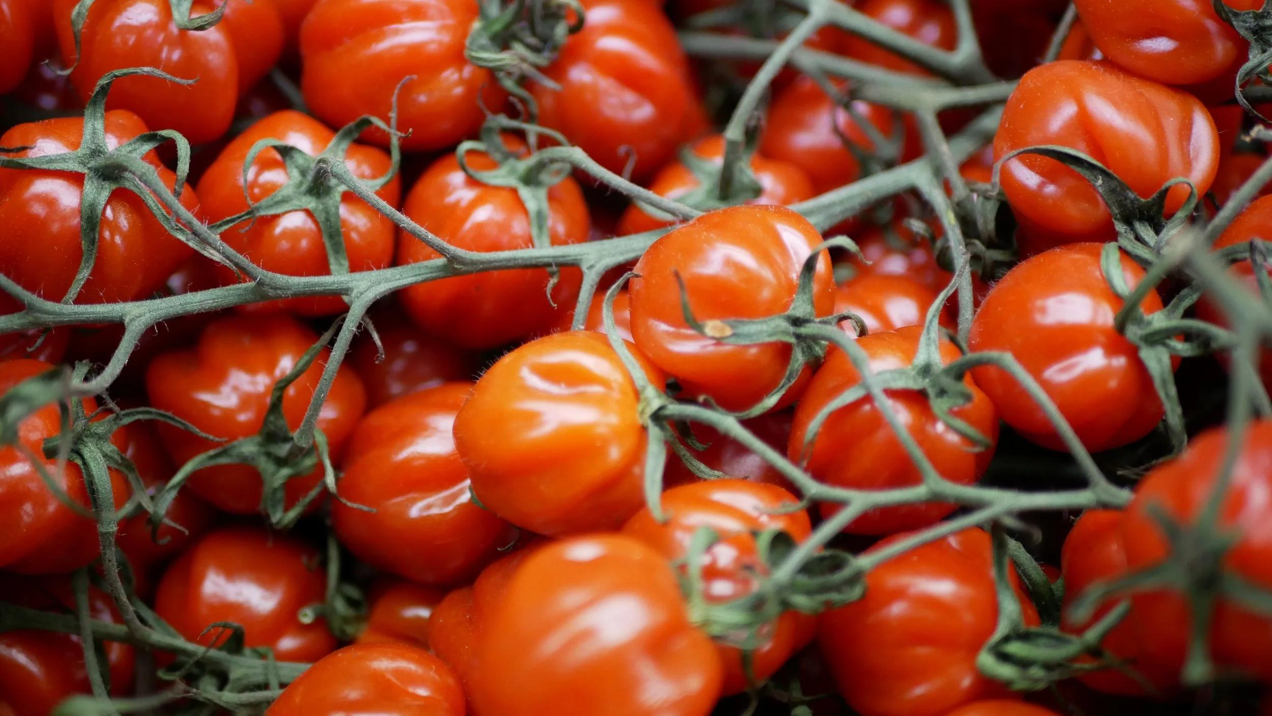 Cluster of ripe orange cherry tomatoes with green stems.