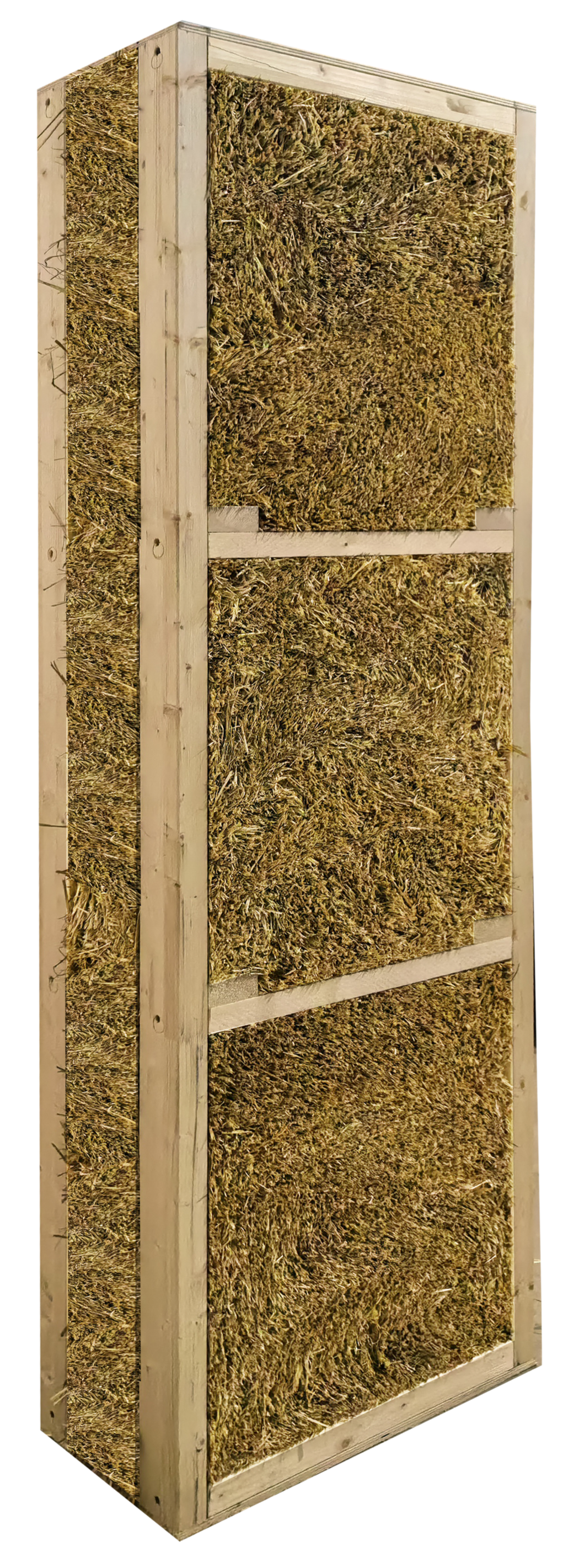 Struttura in legno con pannelli di muschio stabilizzato
