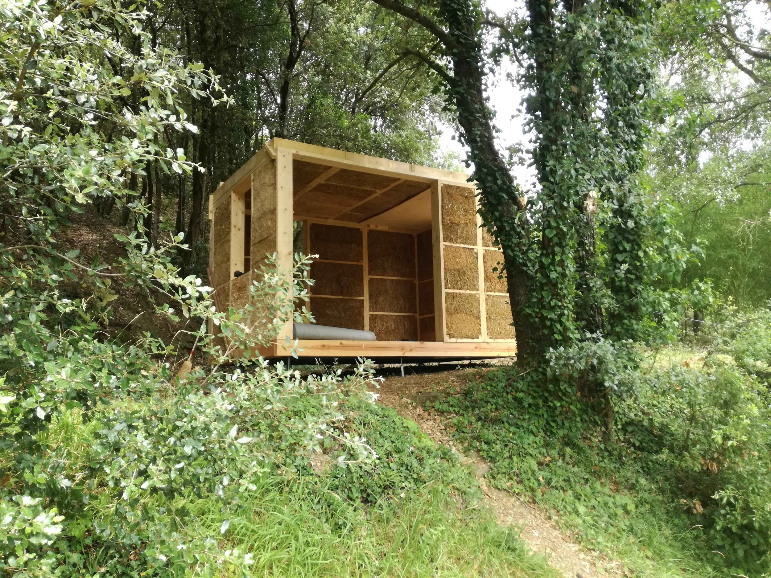 Costruzione di una piccola casetta o capanna in legno all'interno di un bosco, circondata da alberi e vegetazione verde.