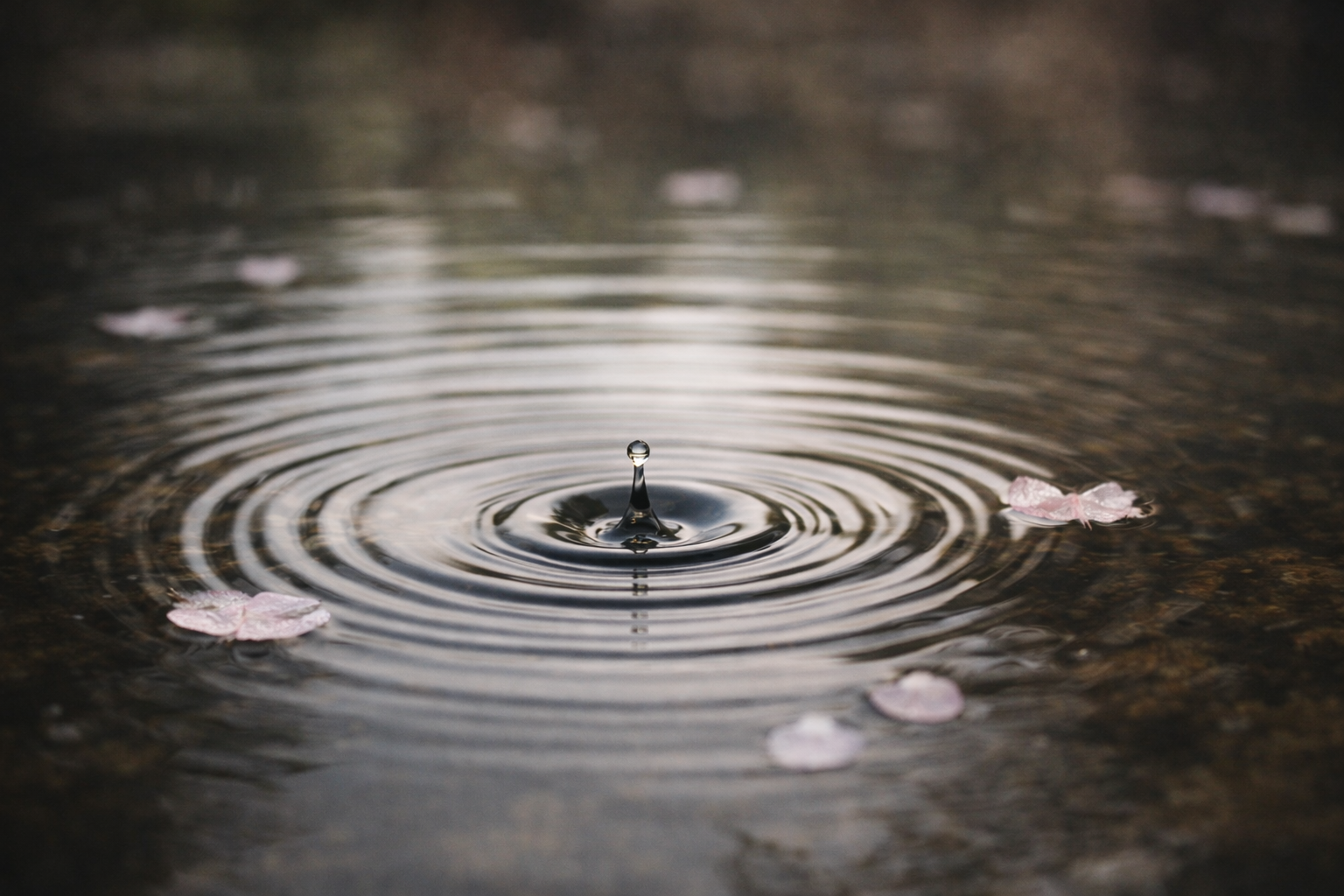 Mujo: Why Japanese Culture Embraces Impermanence