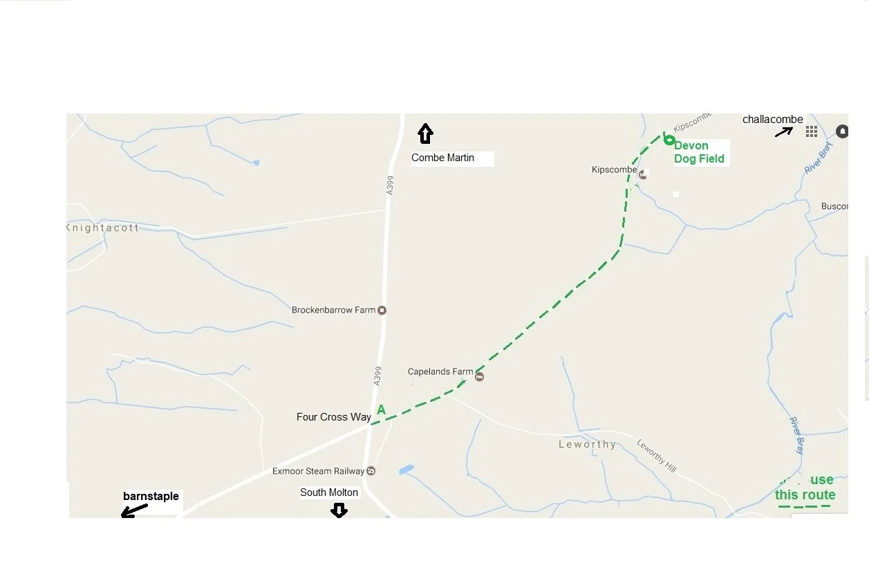 our field 20 minutes from Barnstaple outside Bratton fleming