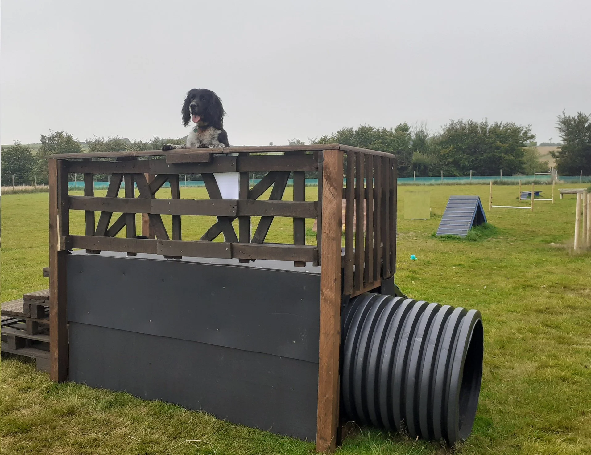 Charlie dog on the Fort play equipment