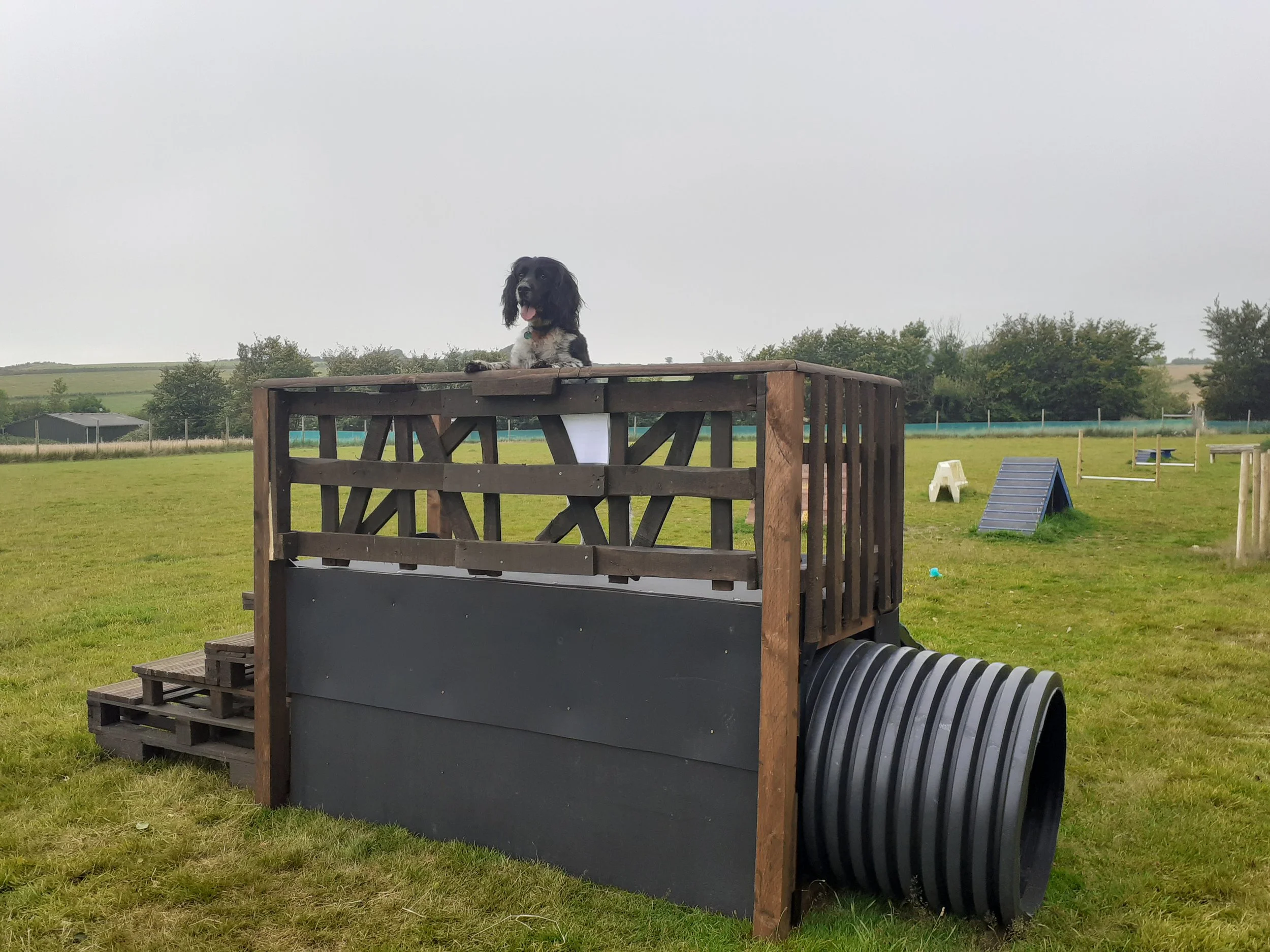 The dog fort, a real favourite