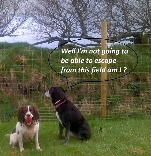 secure field with 1.9m fencing