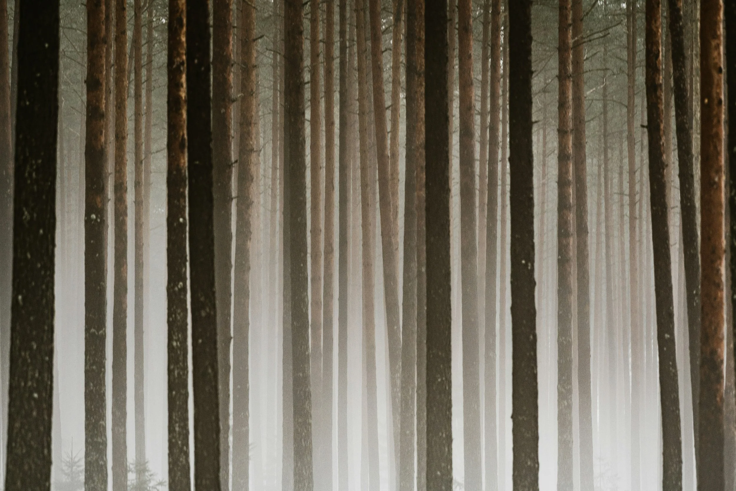 What is Spiritual Direction?