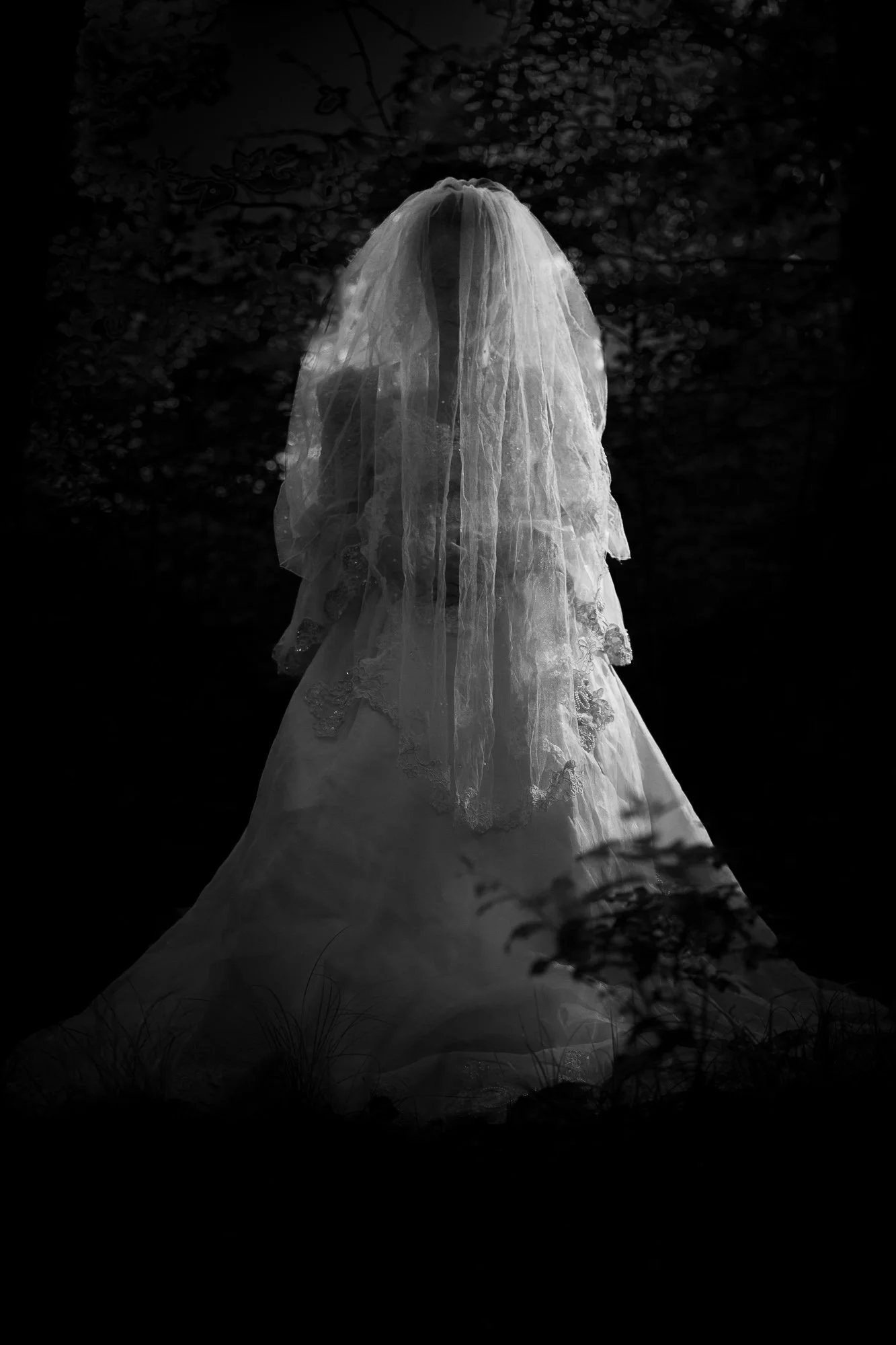 Veil