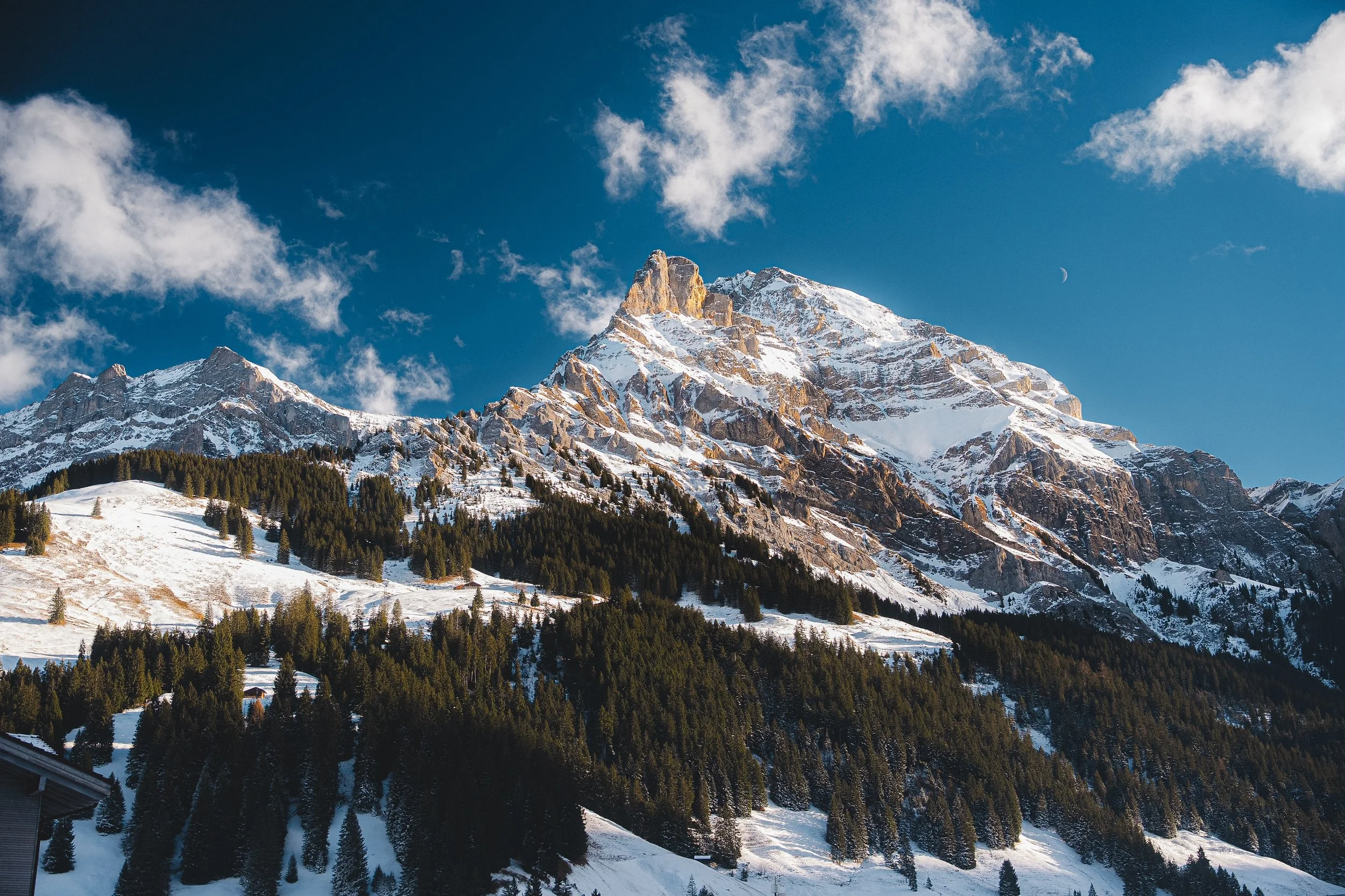 Grindelwald_Winter_LateAfternoon_SnowMountains.jpg