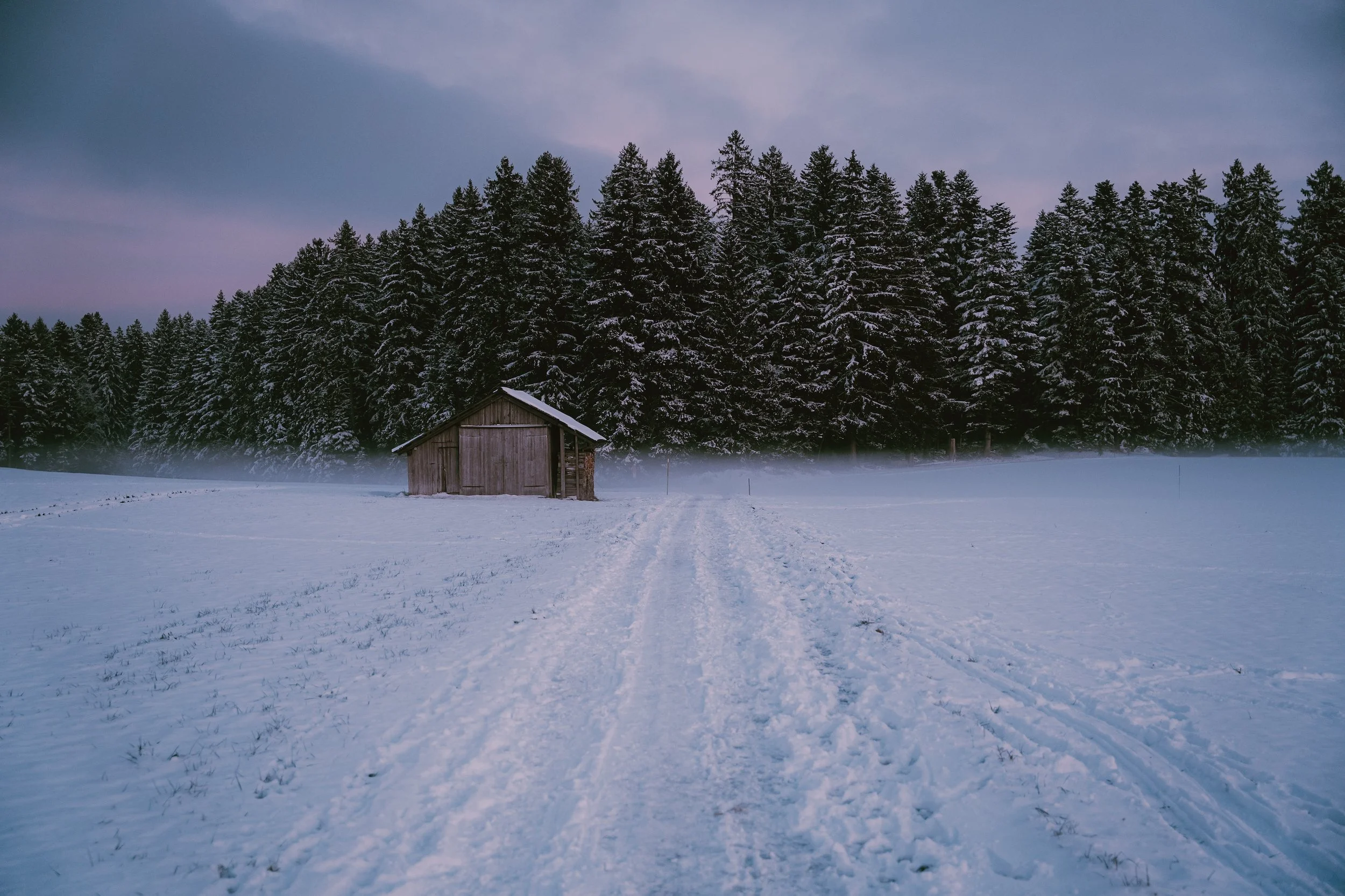 Switzerland_Snow_Forest-Shack_Twilight-Winter.jpg