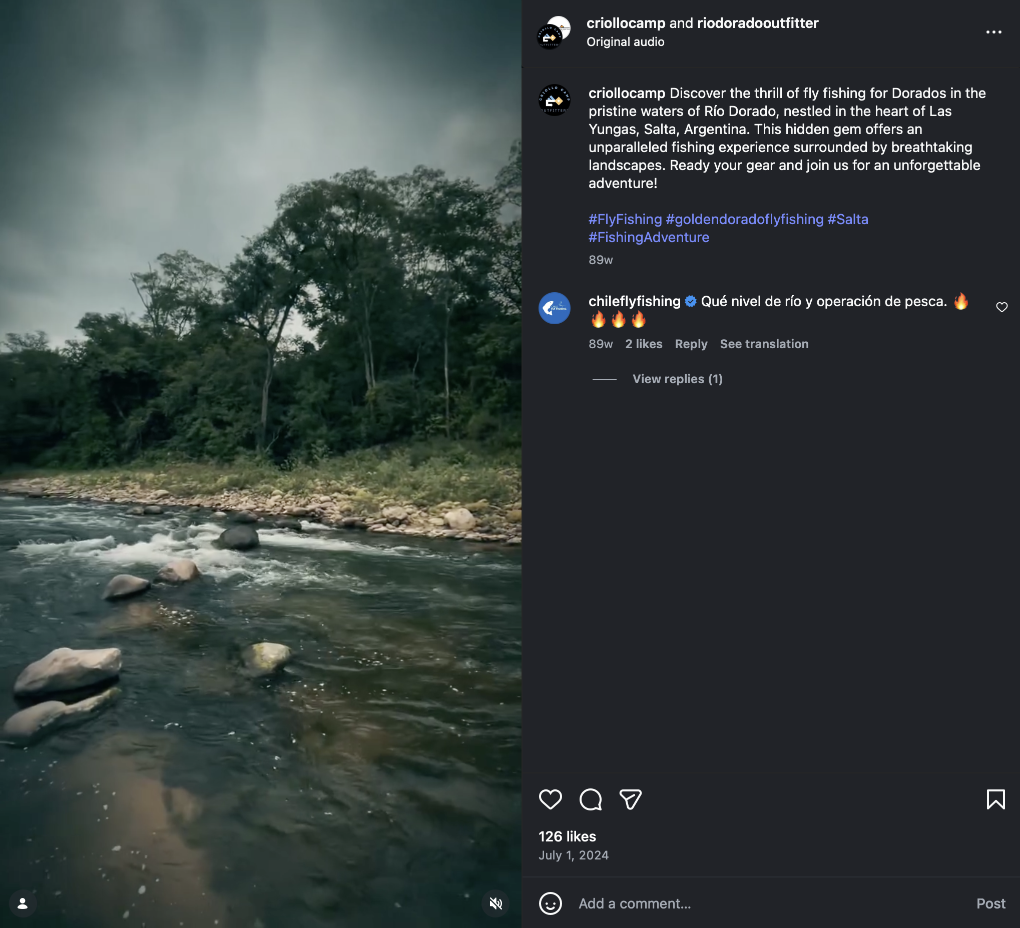 A river flowing with rocks and surrounded by dense green forest under an overcast sky.