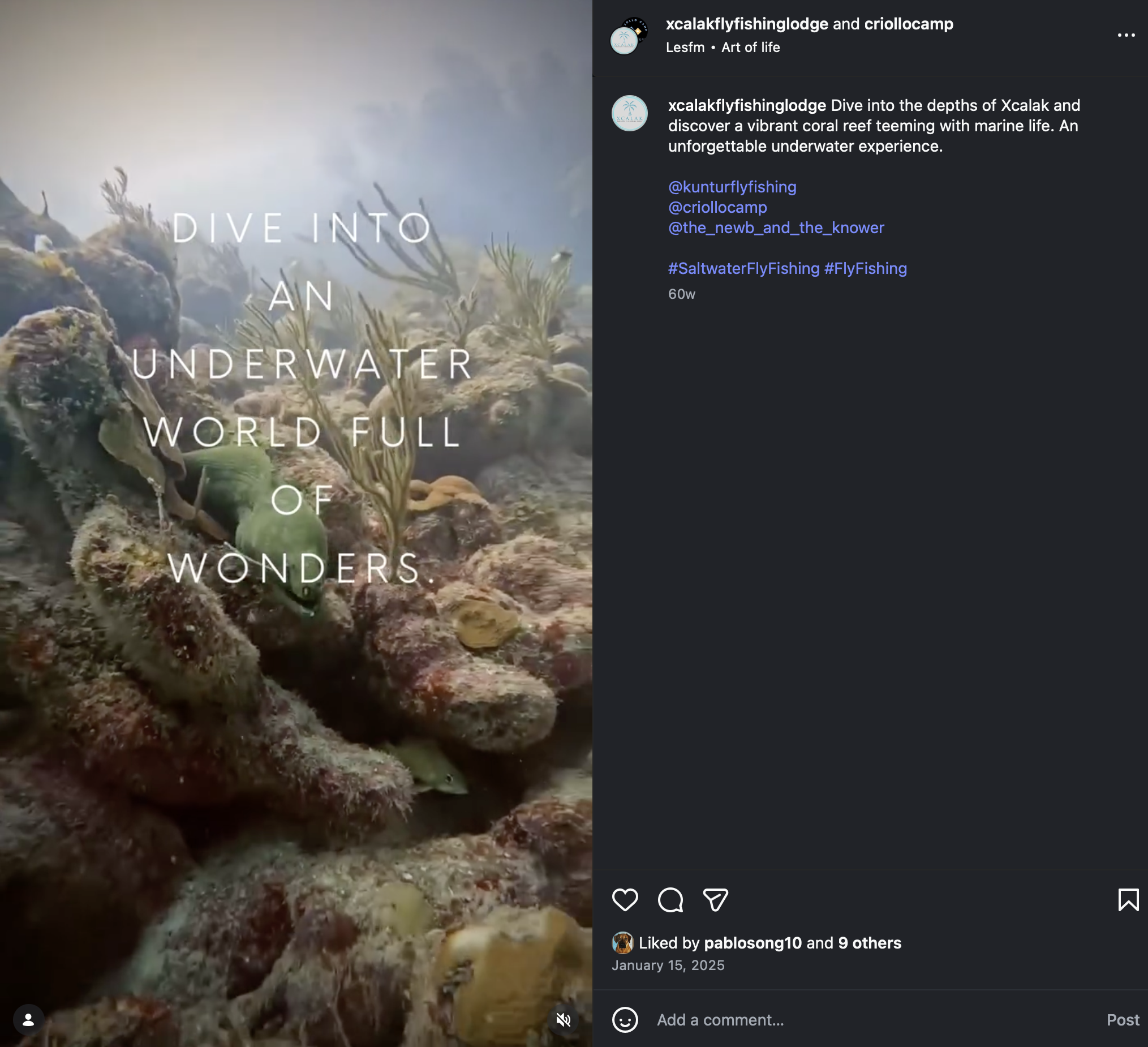 Underwater scene with coral, rocks, and aquatic plants, captioned 'DIVE INTO AN UNDERWATER WORLD FULL OF WONDERS'.