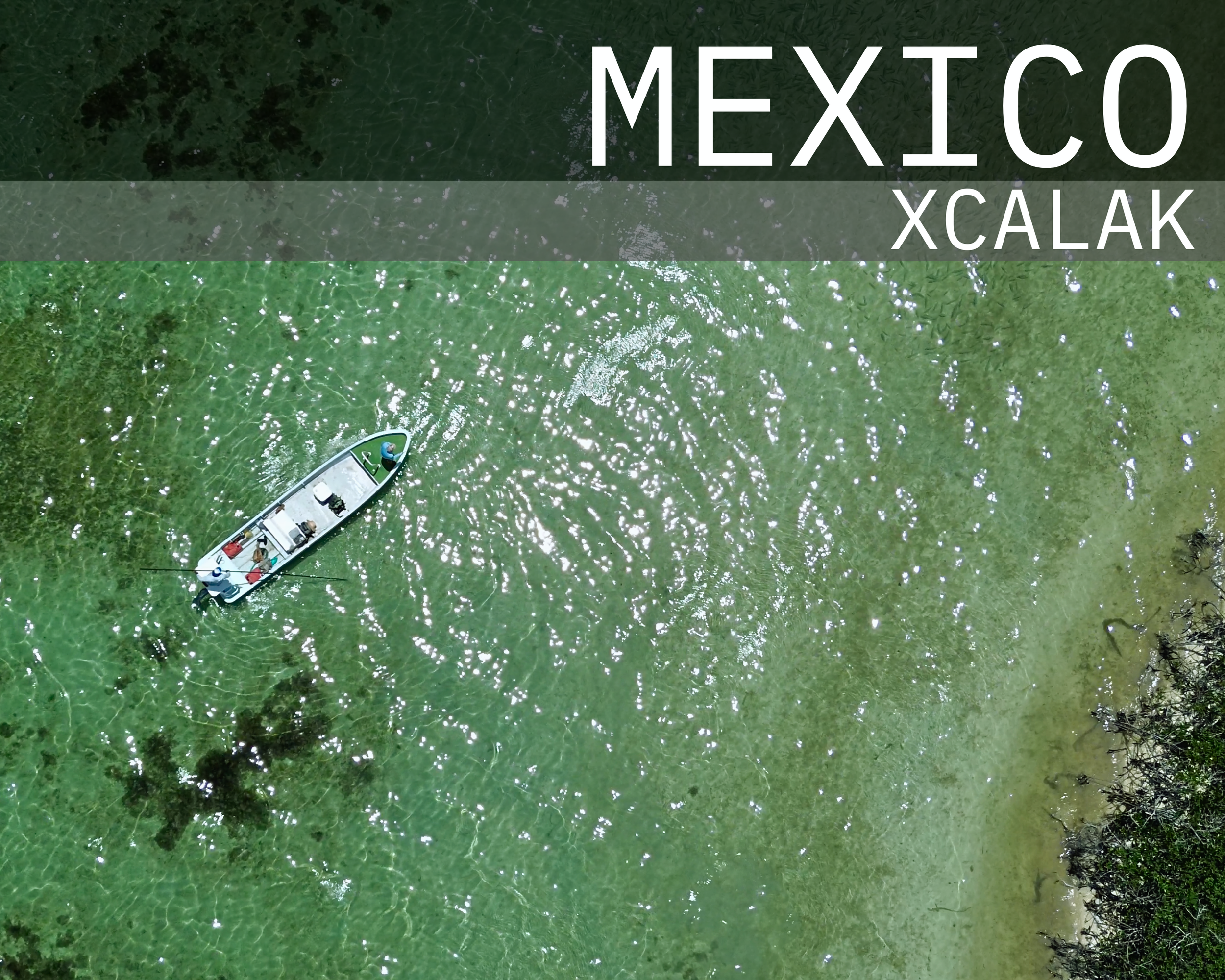 Ariel view of a panga boat with a guide and angler on casting platform, on a clear greenish body of water near a shoreline with trees, casting to a school of bonefish overlaid with text reading "Mexico Xcalak".