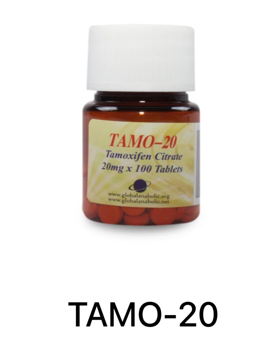 TAMO-20.jpeg