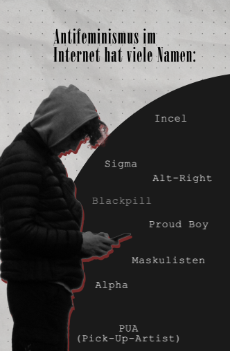 Projektion Social Media Manosphere