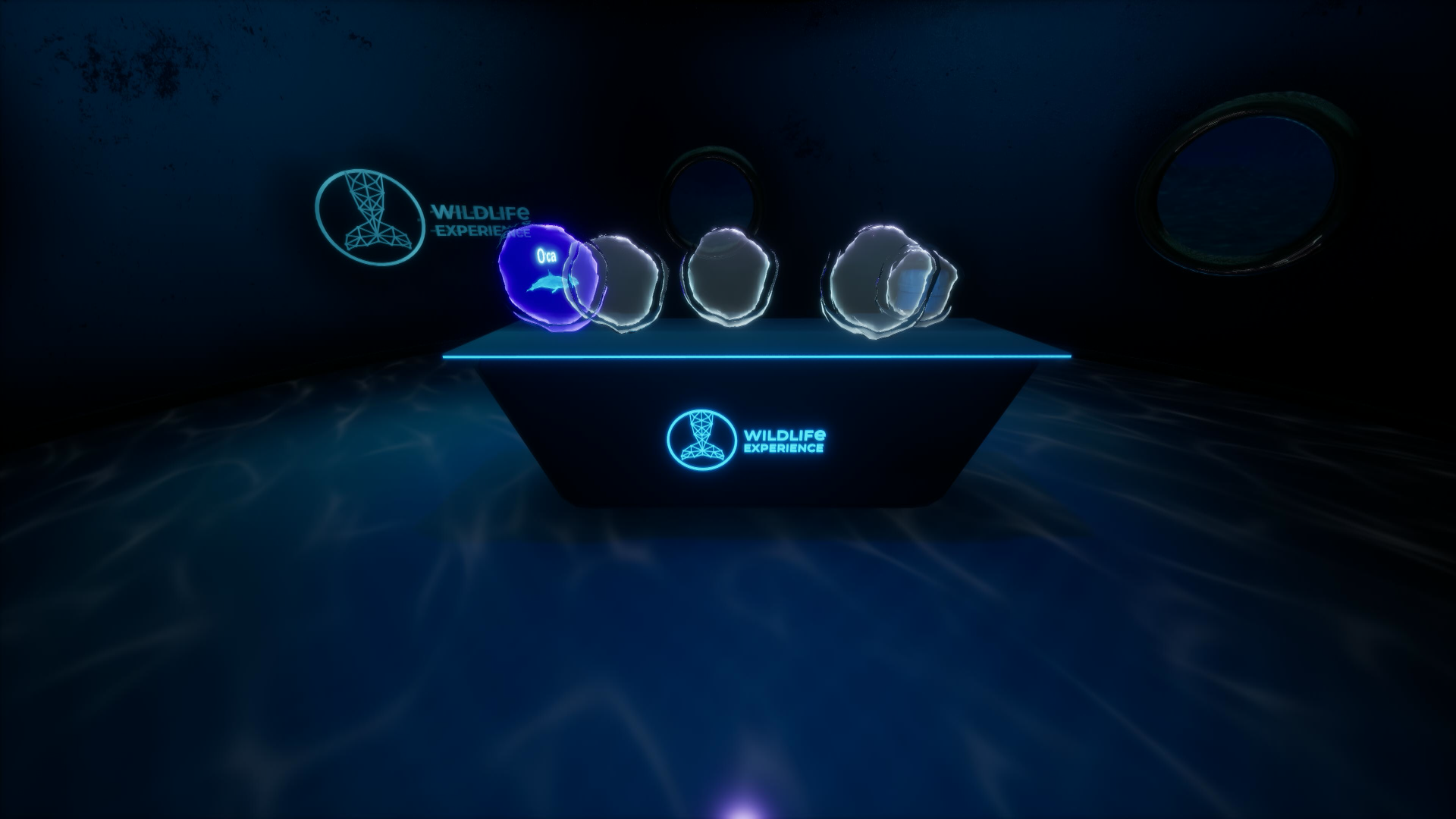 Wildlife Experience VR Lobby 