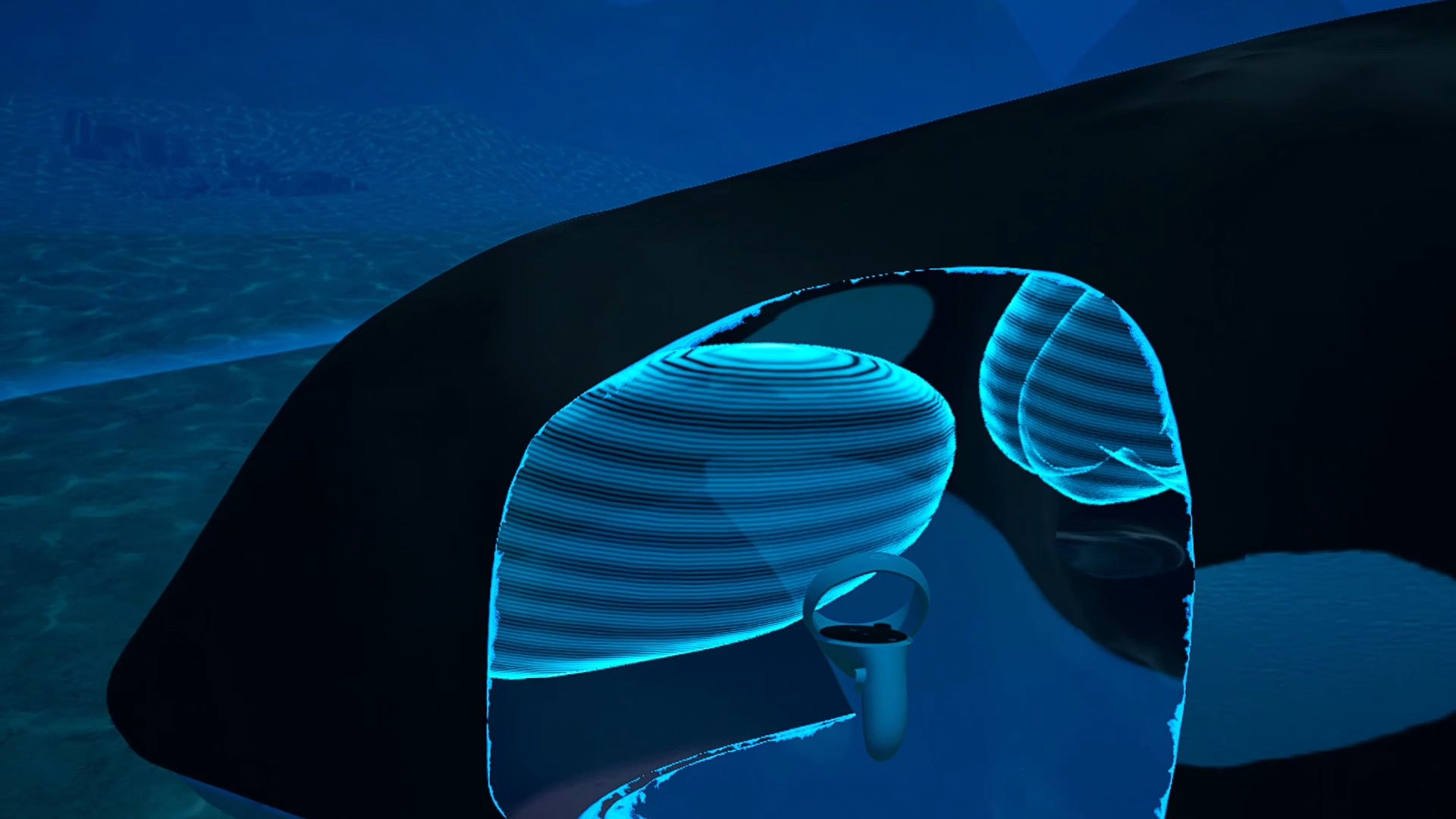 Wildlife Experience VR Körperbau