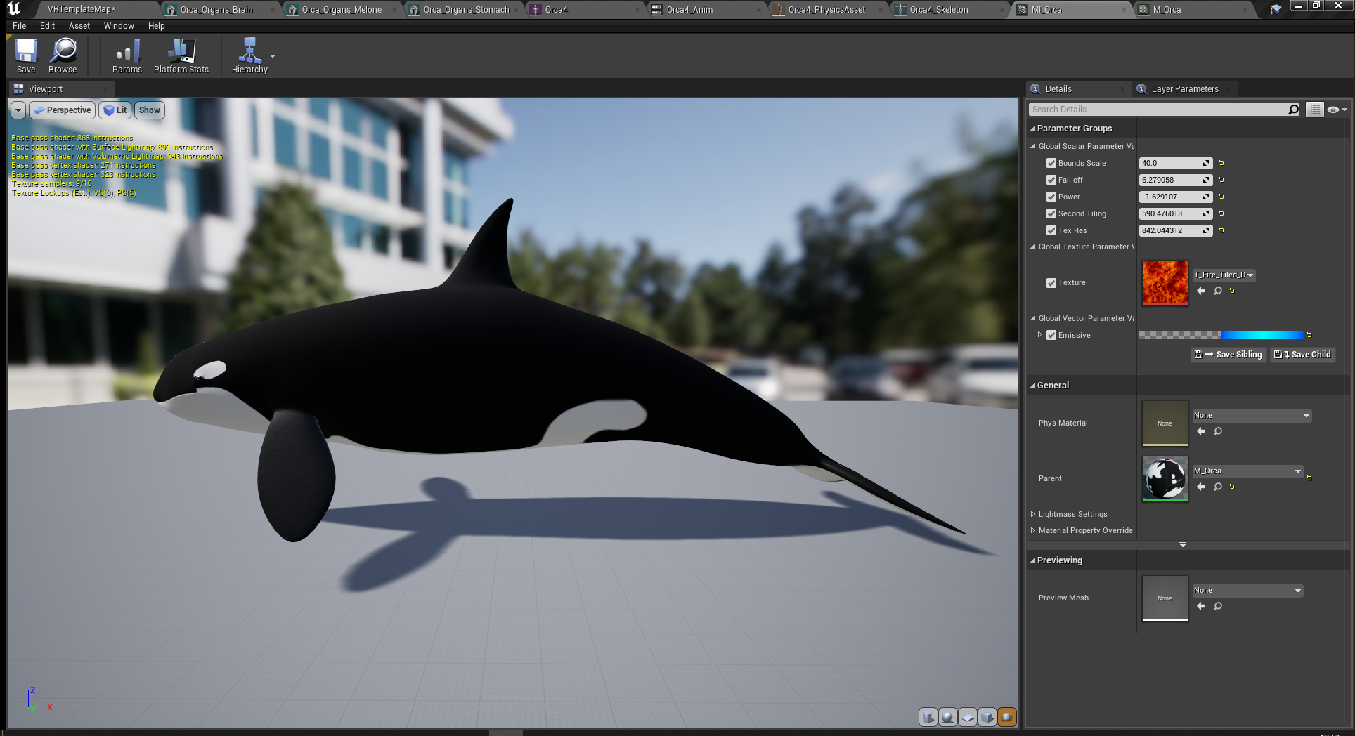 Wildlife Experience Unity 3D Orca