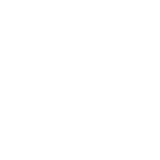 Icon Shoe