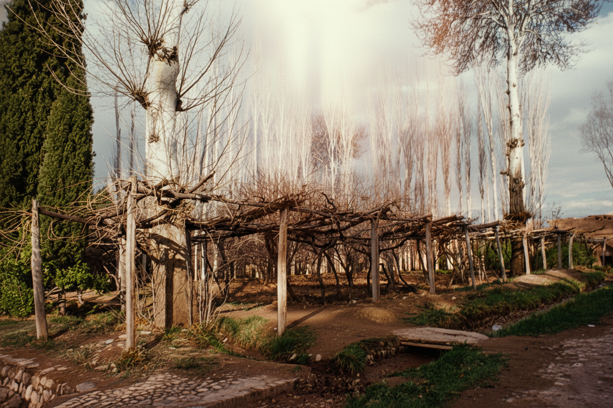 Kerman  Shazdeh Garden  54.png