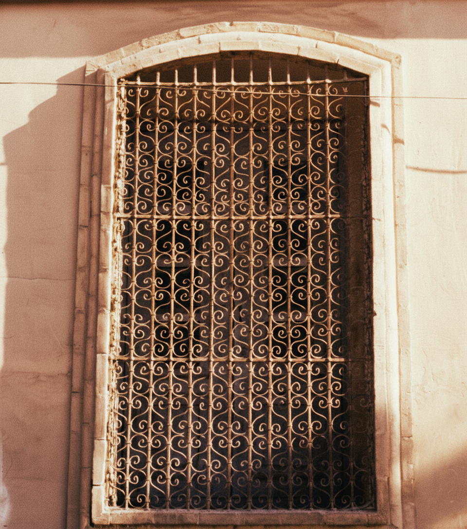 Shiraz -Shah Cheragh-30.png