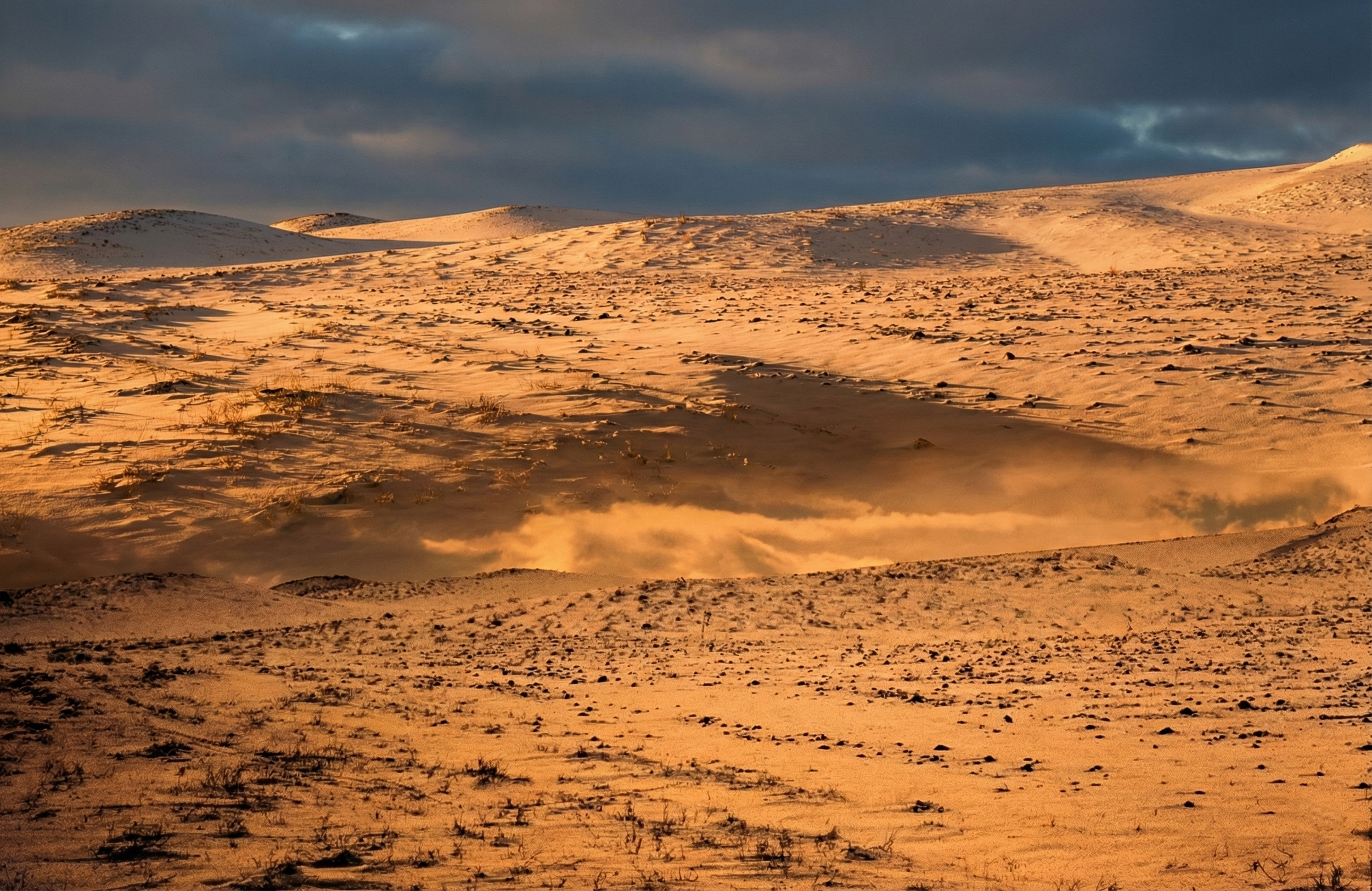 Nature Landscape  5.png