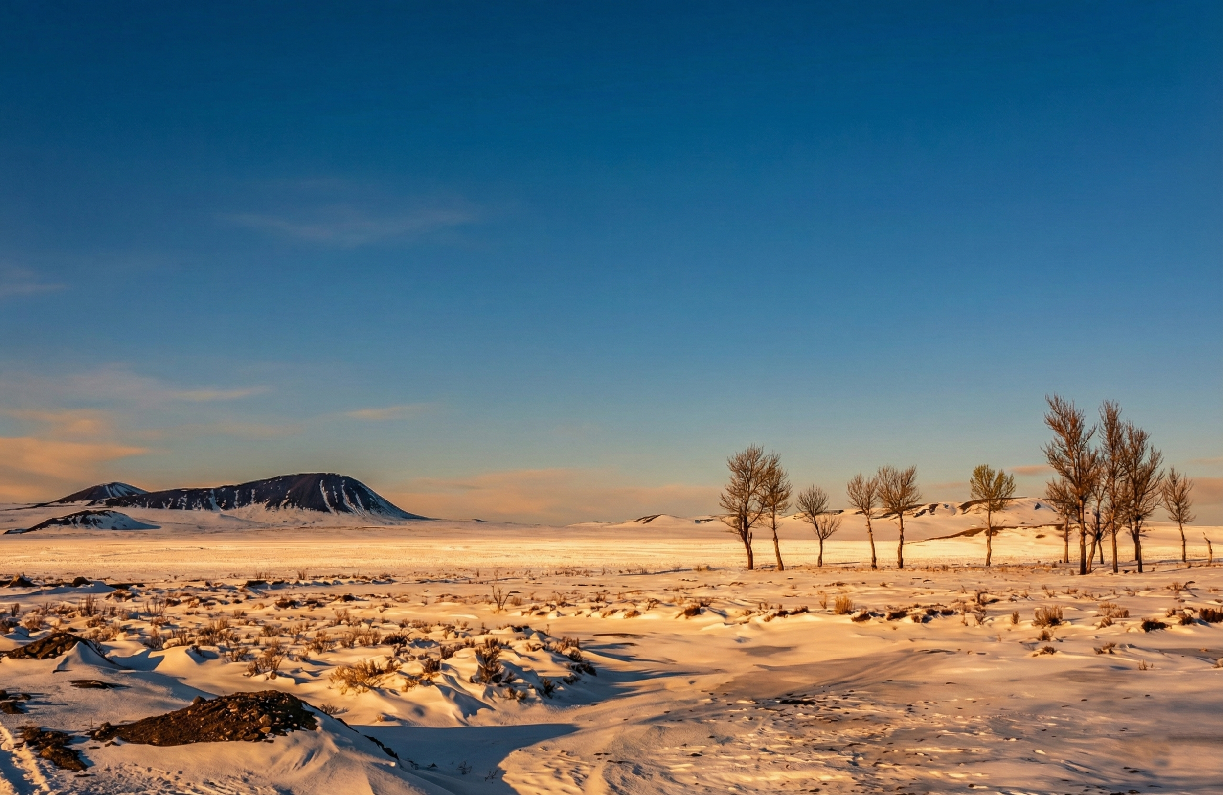 Nature Landscape  7.png