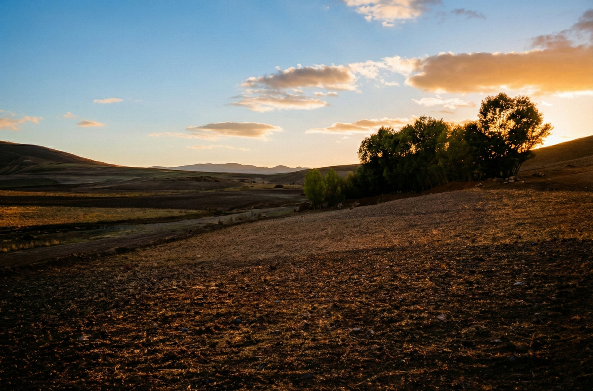 Nature Landscape  20.png