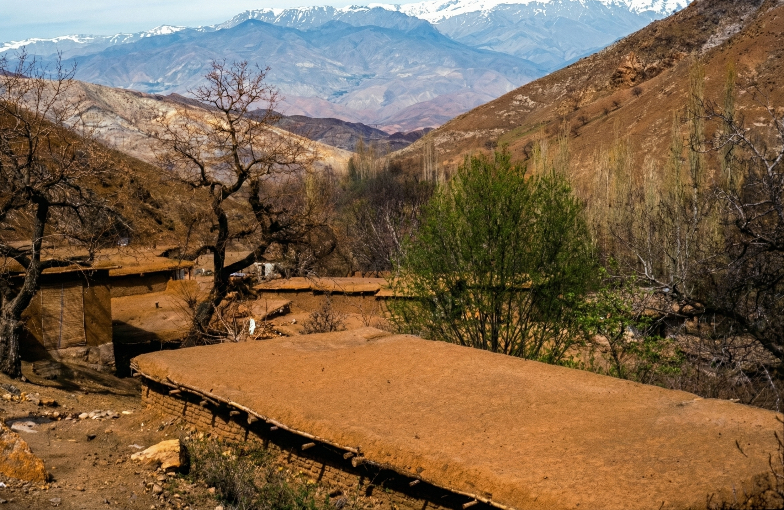 Nature & Human Settlement  17.png