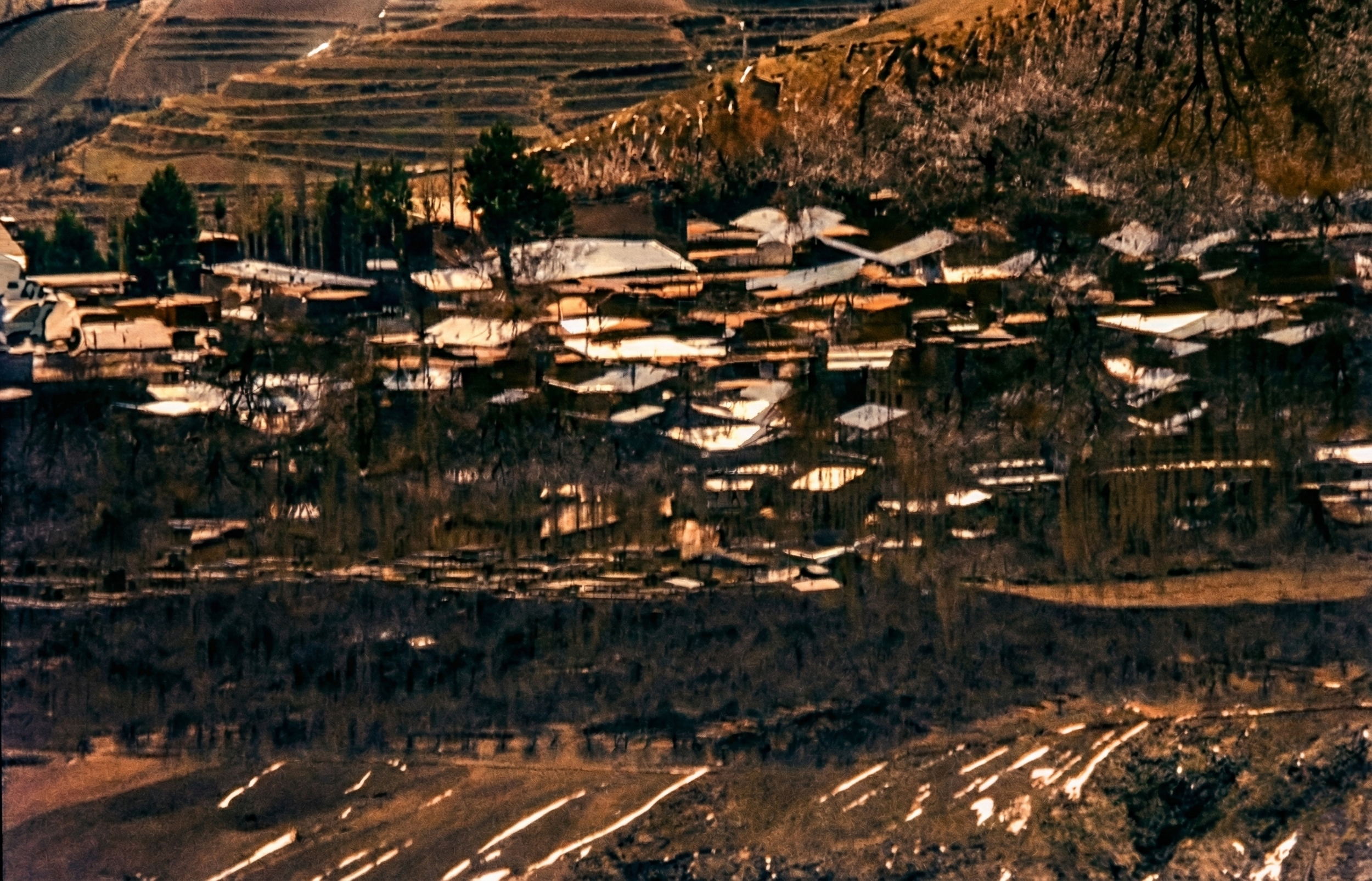 Nature & Human Settlement  5.png