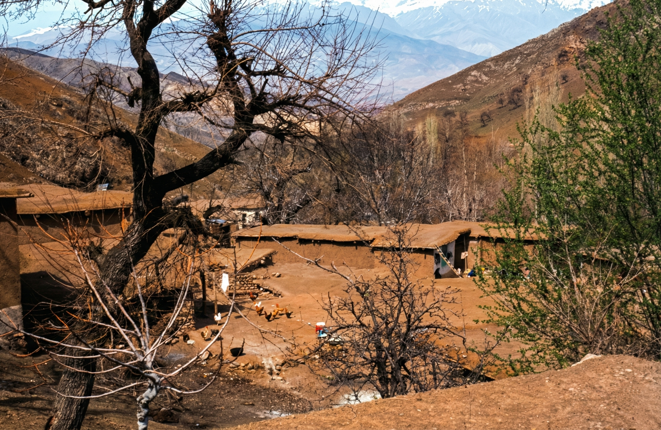 Nature & Human Settlement  18.png