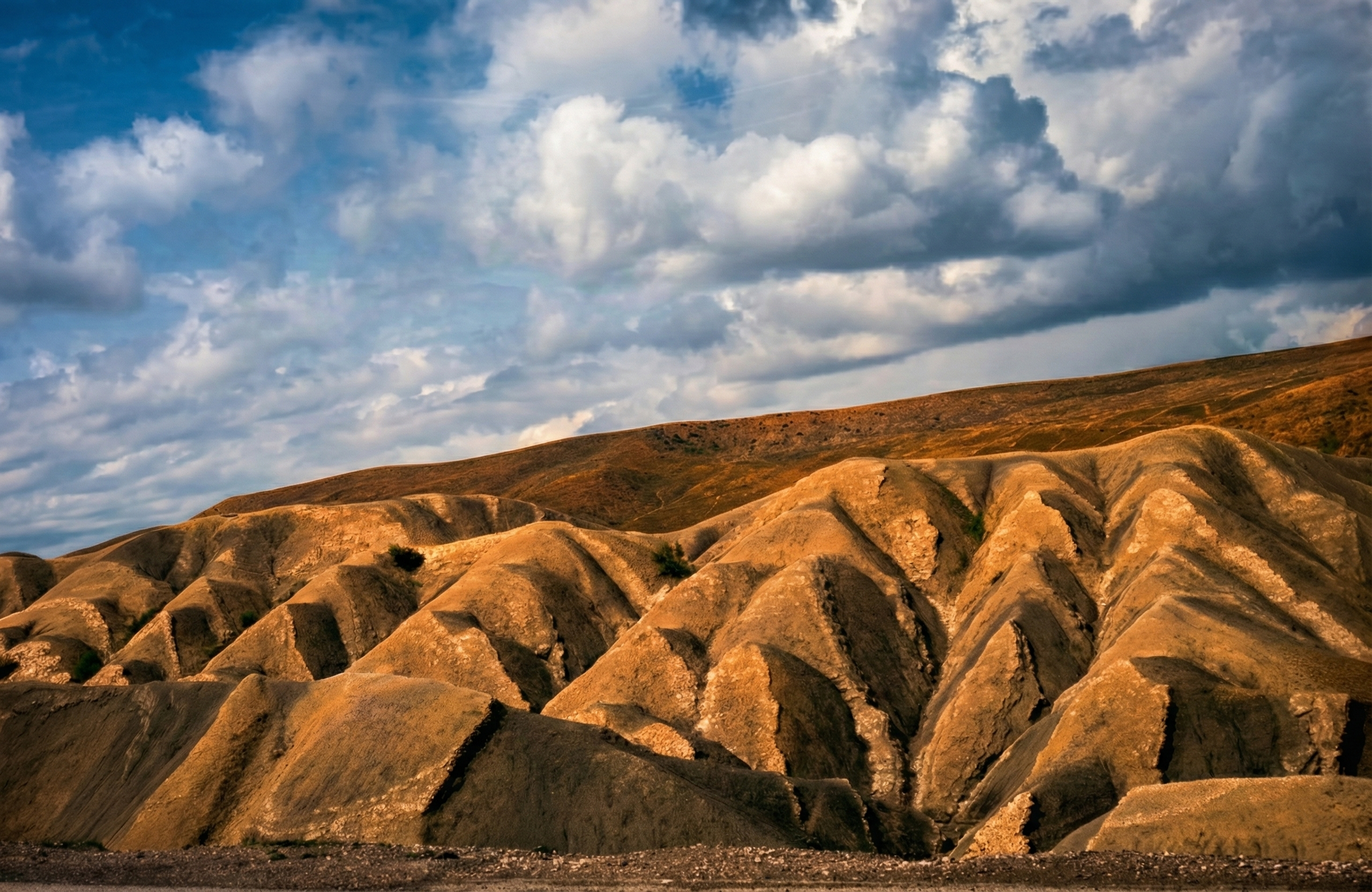 Nature Landscape  12.png