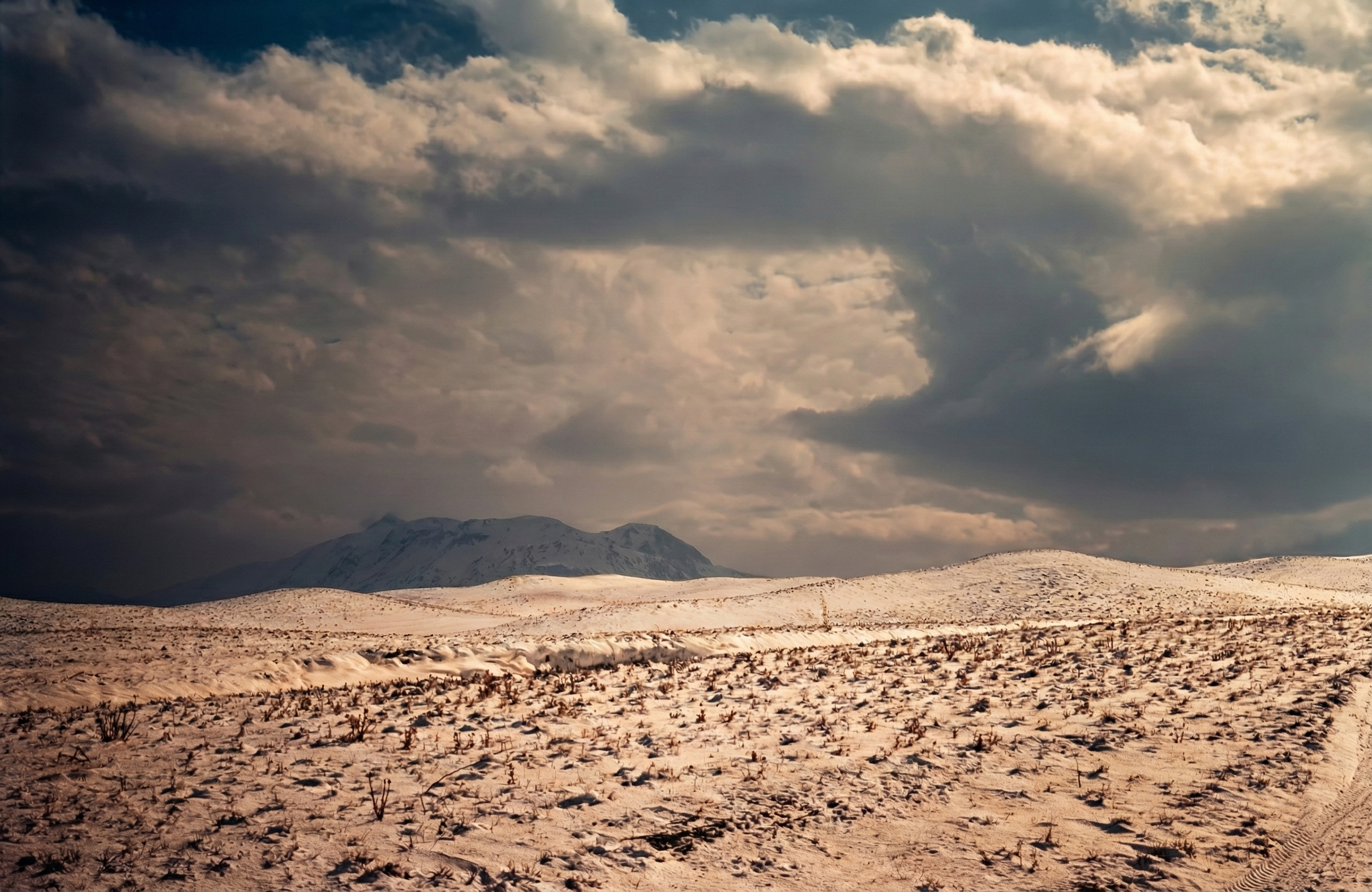 Nature Landscape  1.png