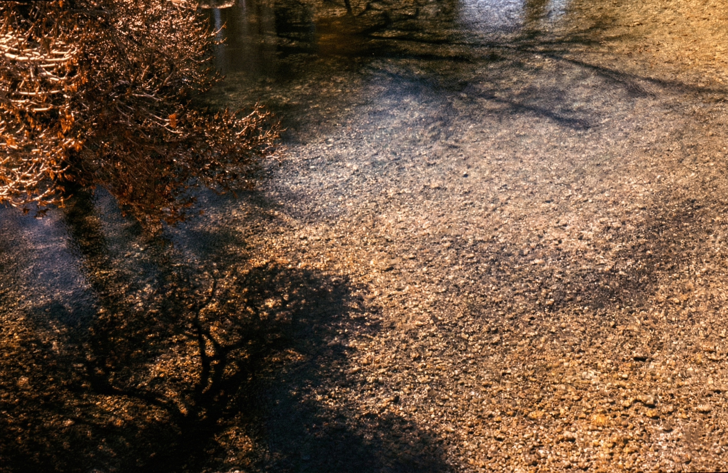 Nature Landscape  22.png