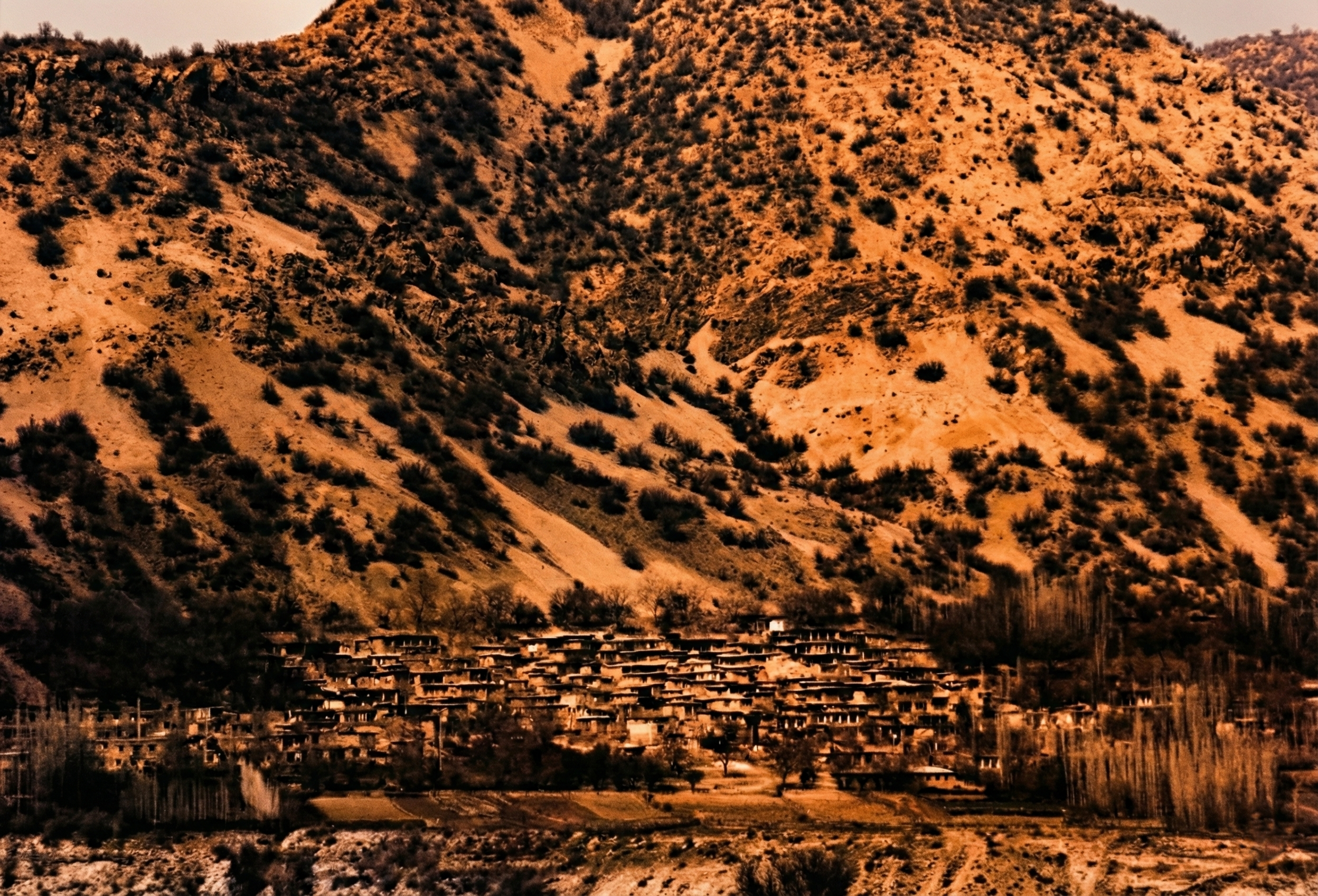 Nature & Human Settlement  13.png