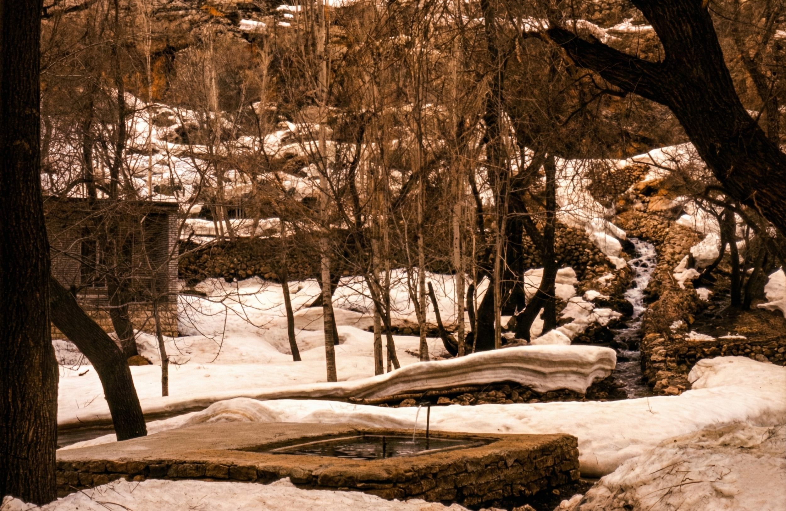 Nature Landscape  25.png