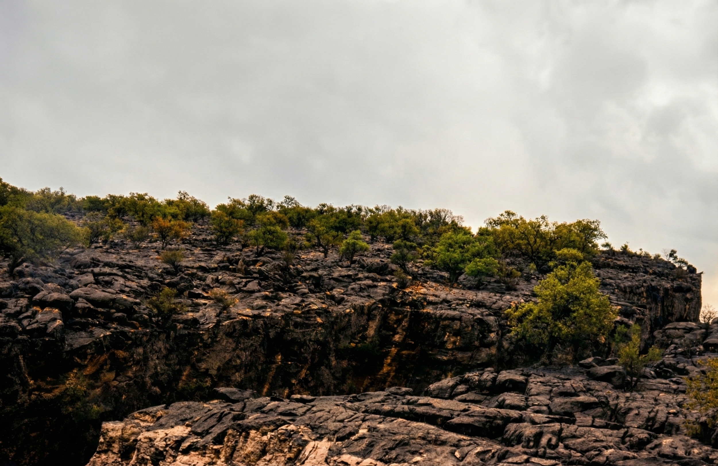 Nature Landscape  24.png