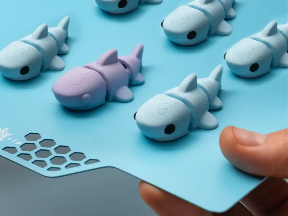 Mini Sharks