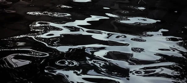 Crude Blood