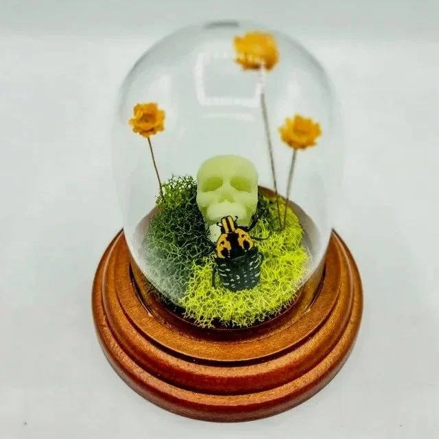 I Want Your Skull (GLOWS in the DARK!) - Handmade Insect Diorama