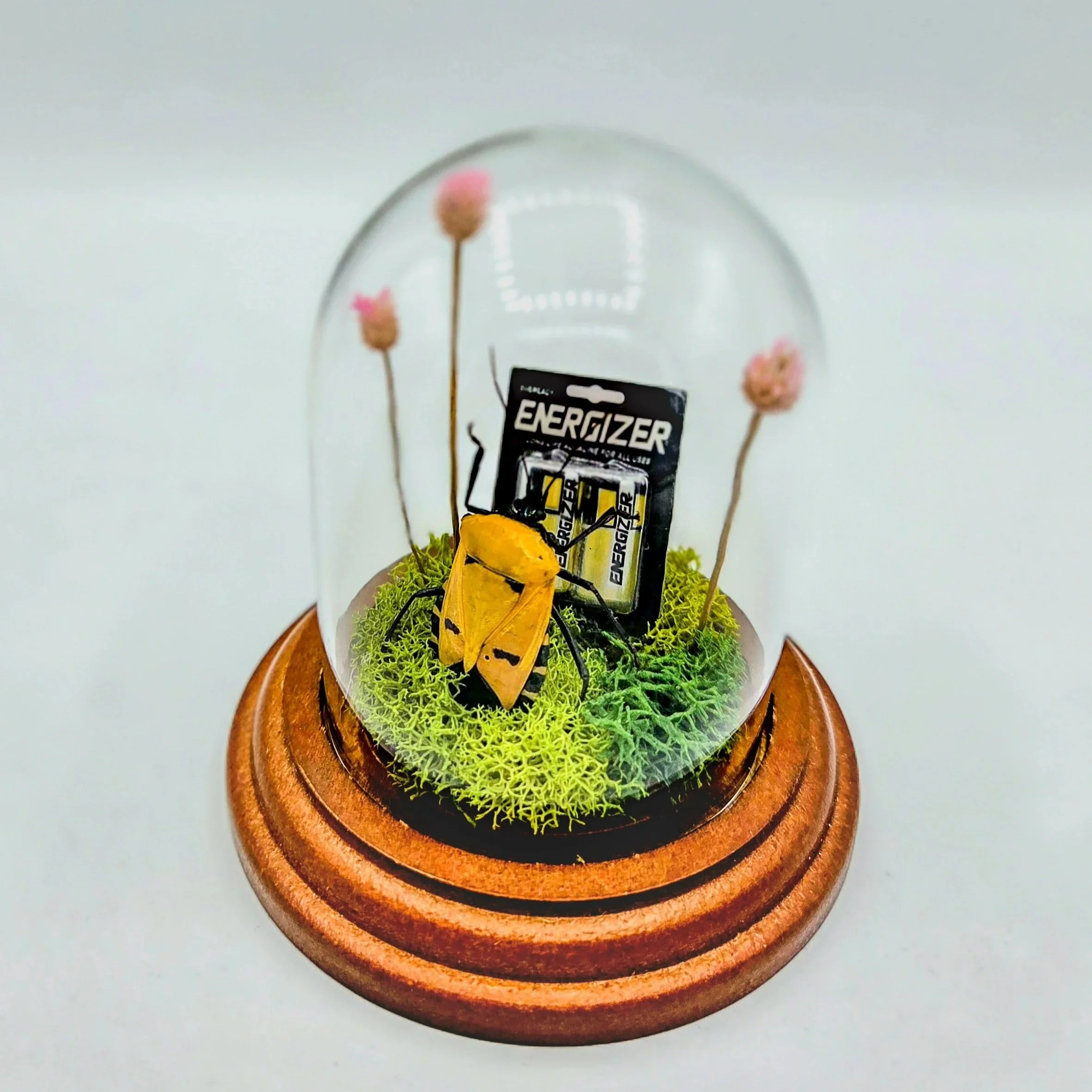 Energizer Beetle - Handmade Insect Diorama