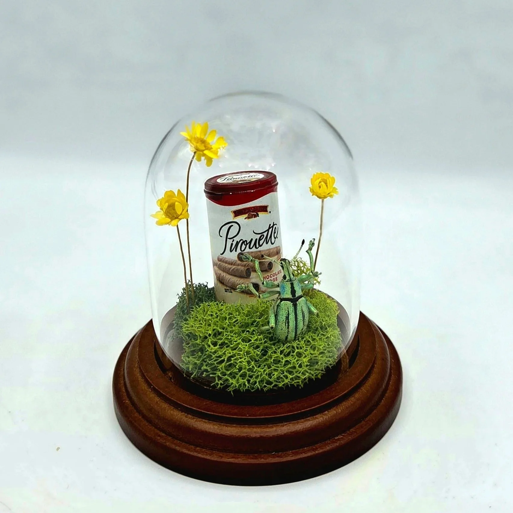 Grandma's Favorite Cookies - Handmade Insect Diorama