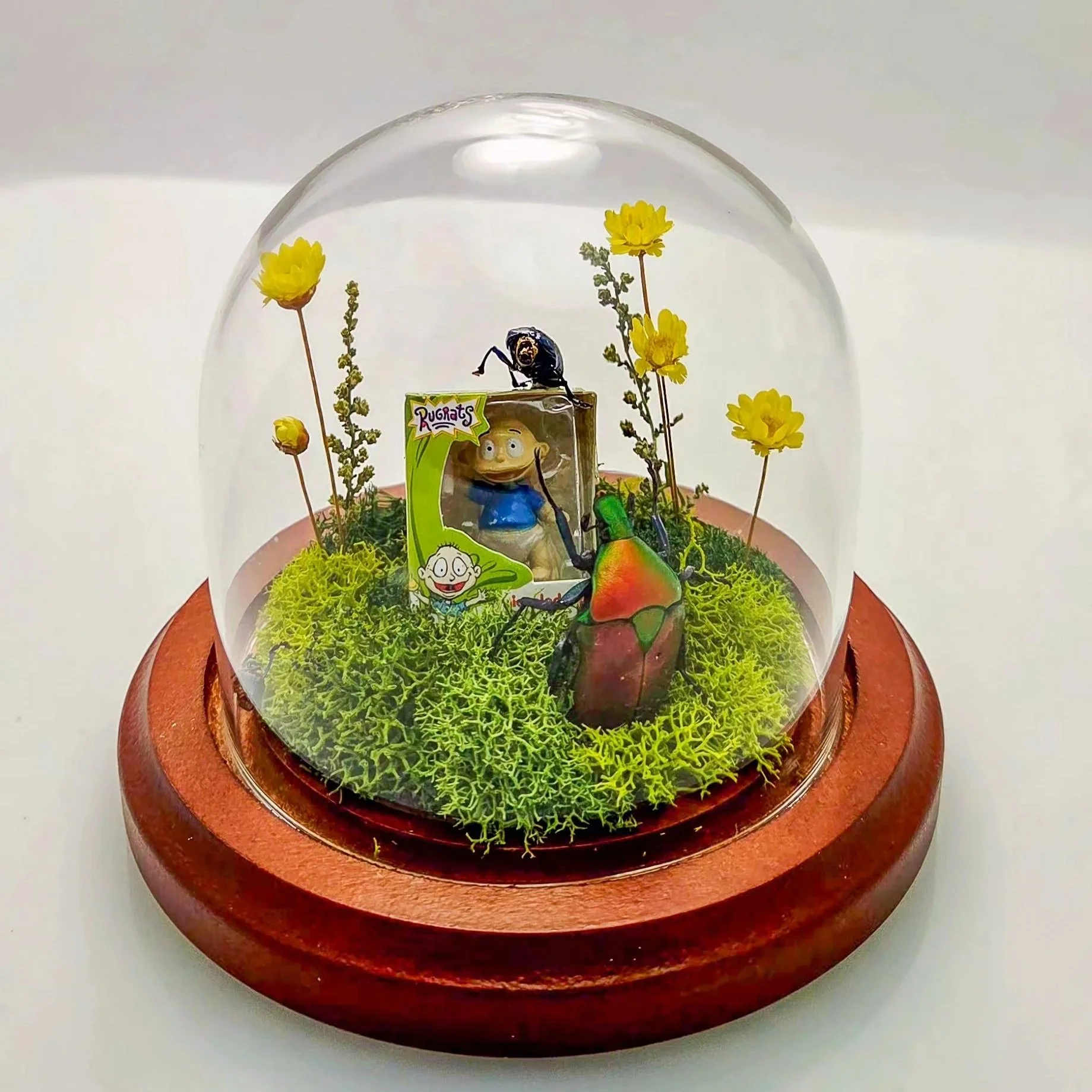 Tommy Pickles & Pals - Handmade Insect Diorama