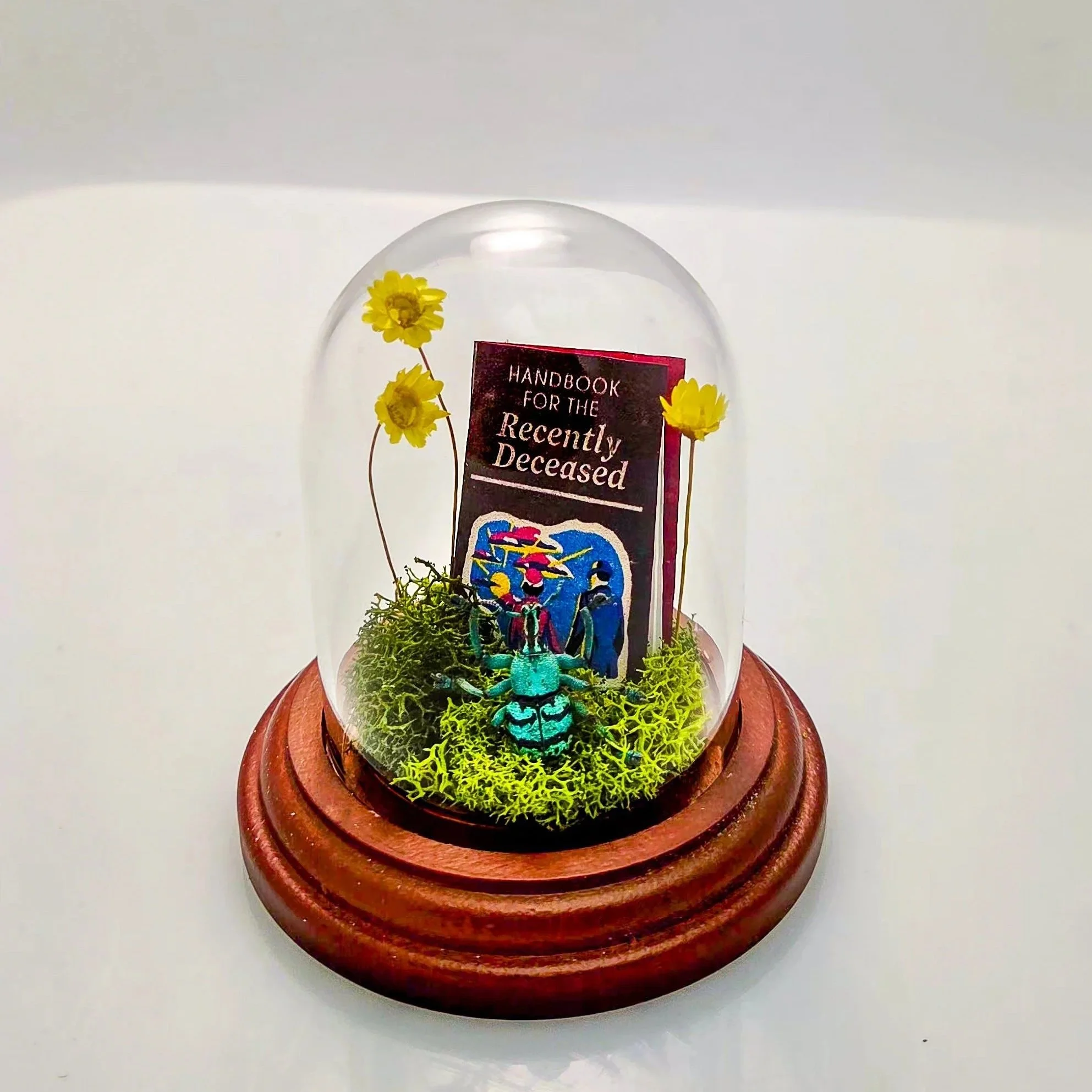 Handbook for the Recently Deceased- Handmade Insect Diorama
