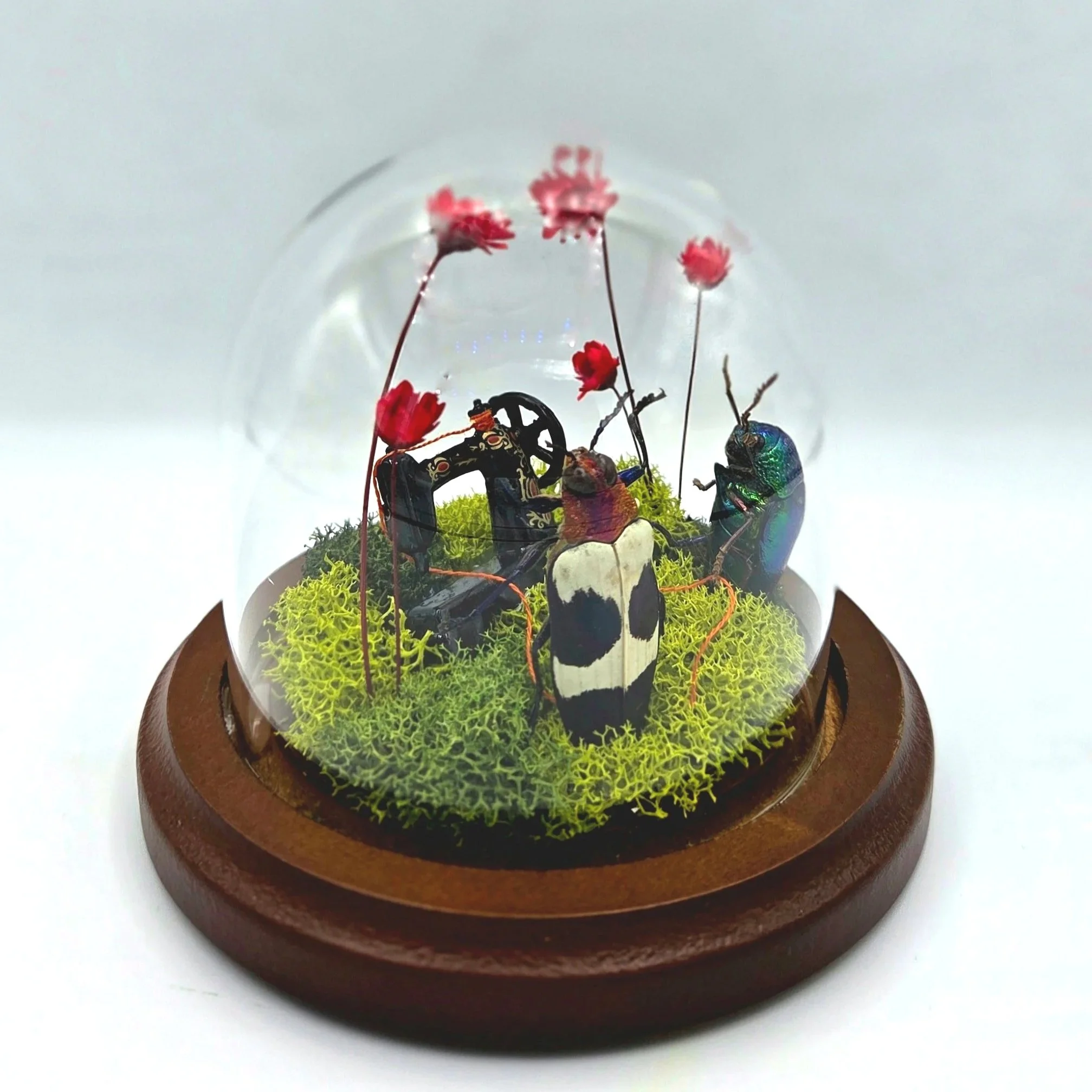 A Stitch in Time - Handmade Insect Diorama