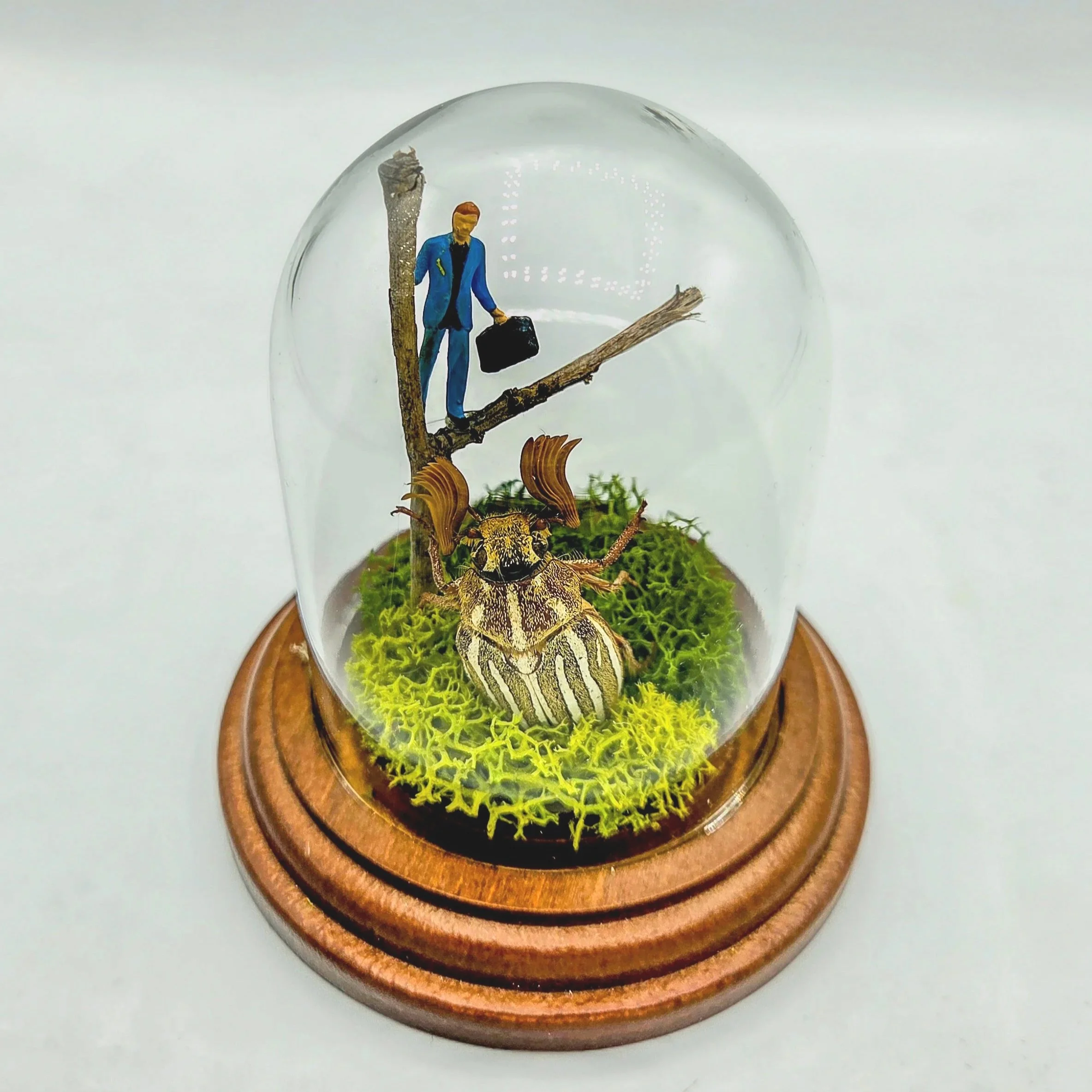 Waiting for the Bus - Handmade Insect Diorama