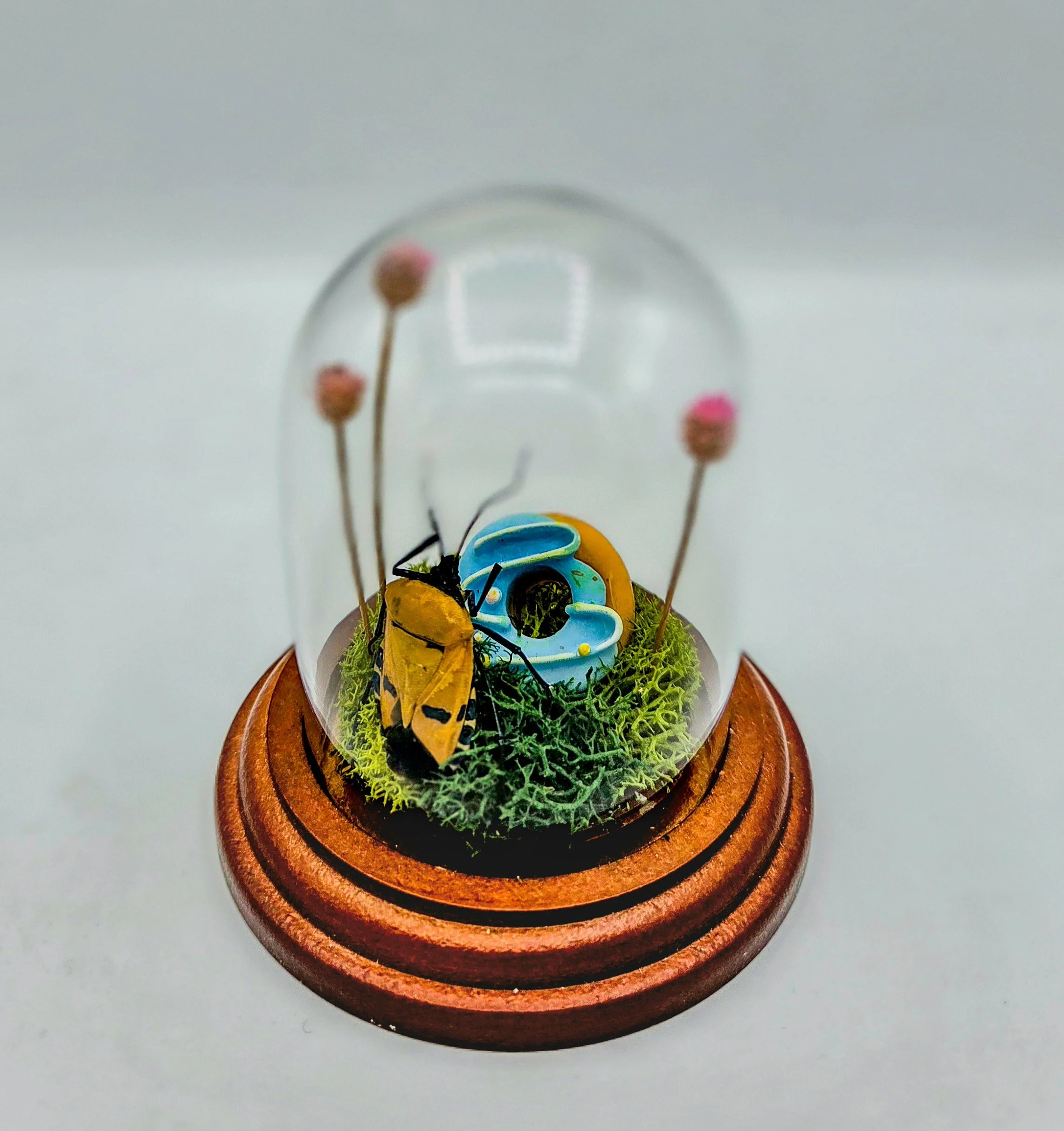 Blueberry Glazed - Handmade Insect Diorama