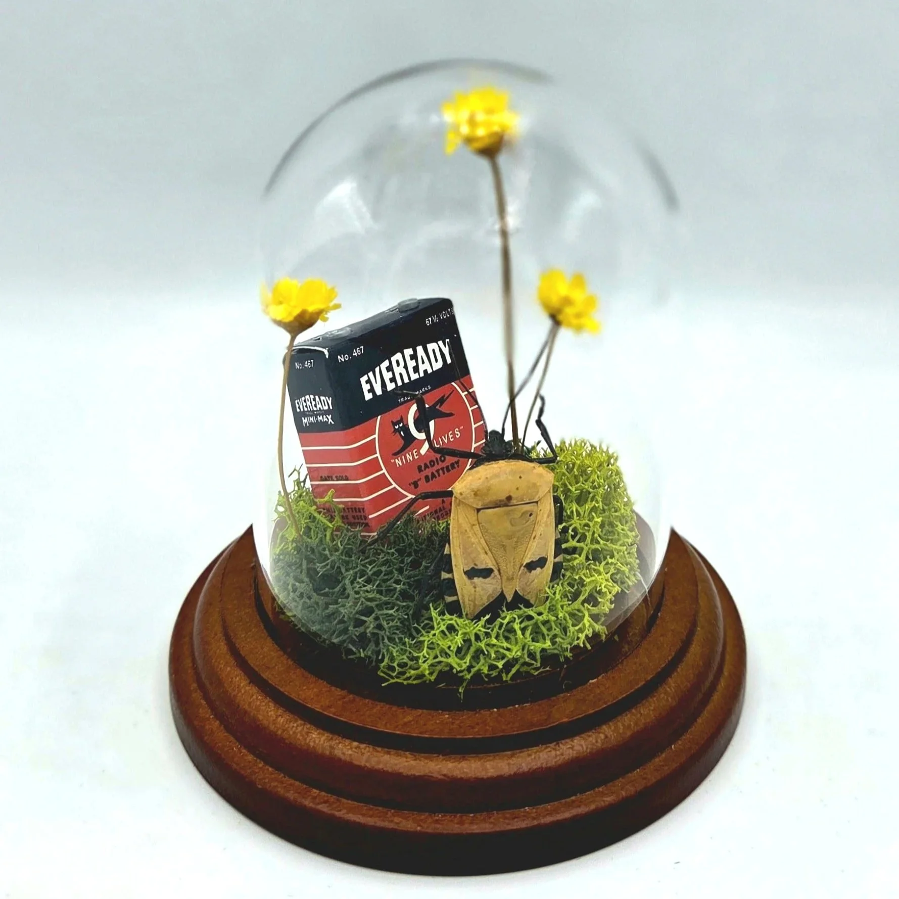 Nine Lives - Handmade Insect Diorama