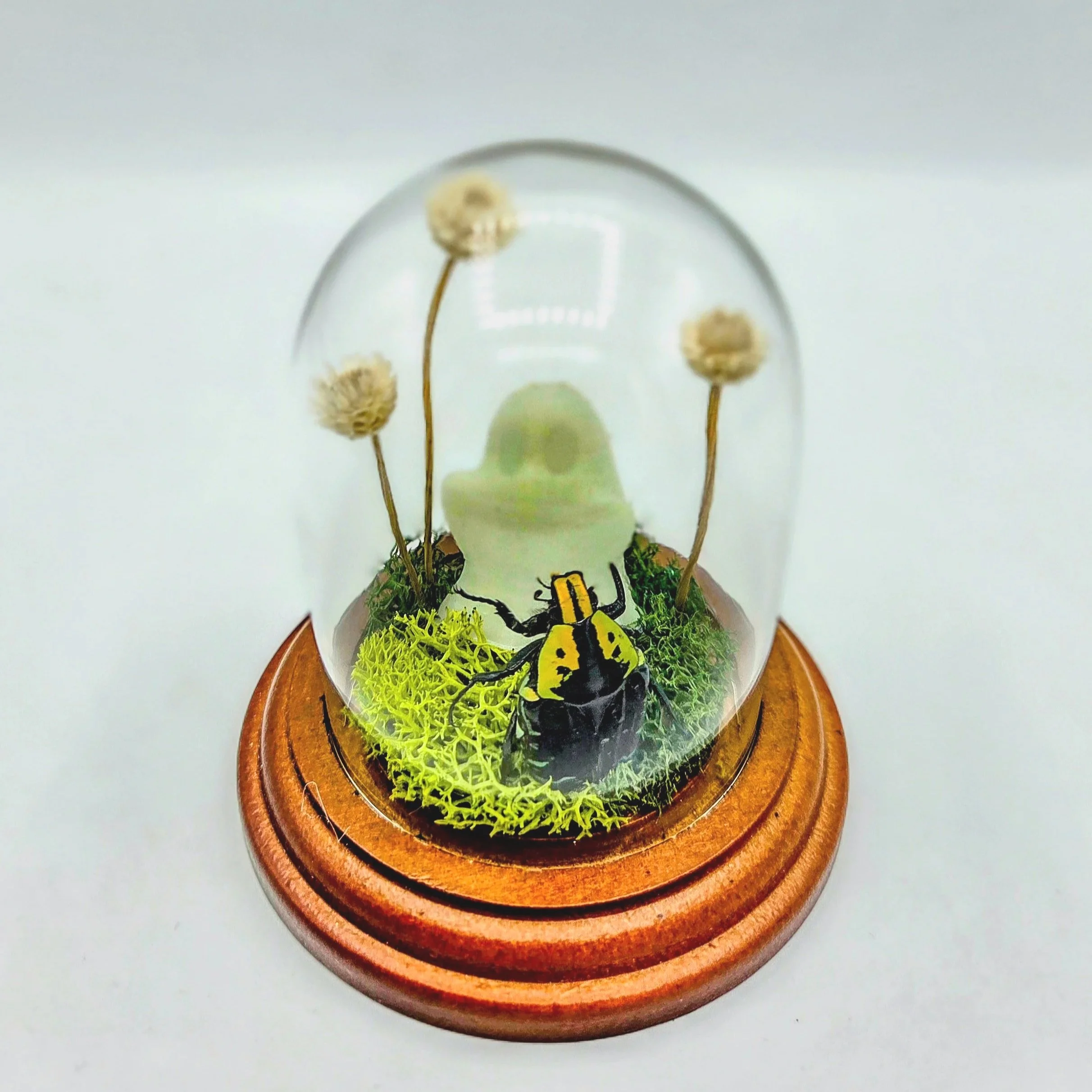 Boo! (GLOWS IN THE DARK!) - Handmade Insect Diorama