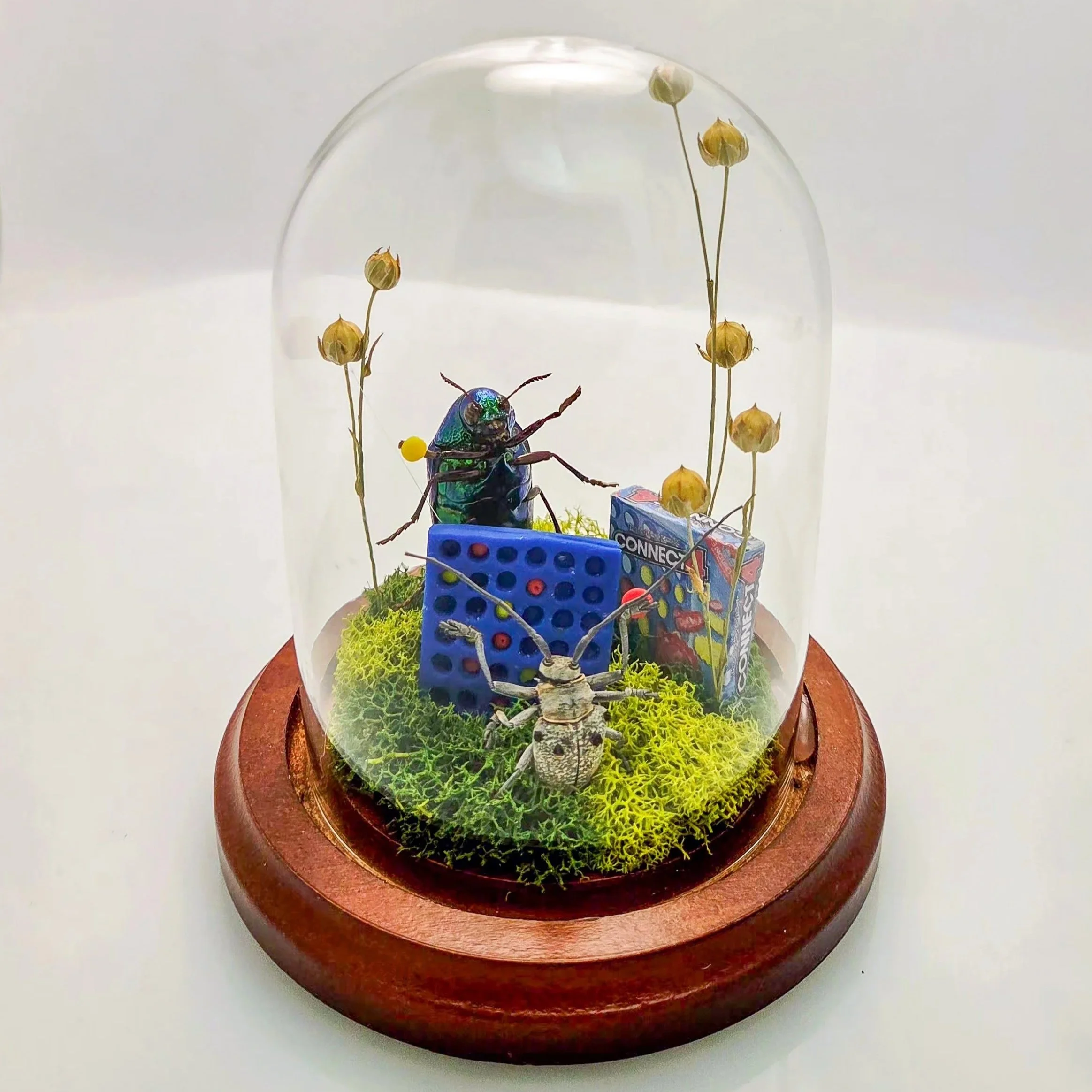 Game Night! - Handmade Insect Diorama