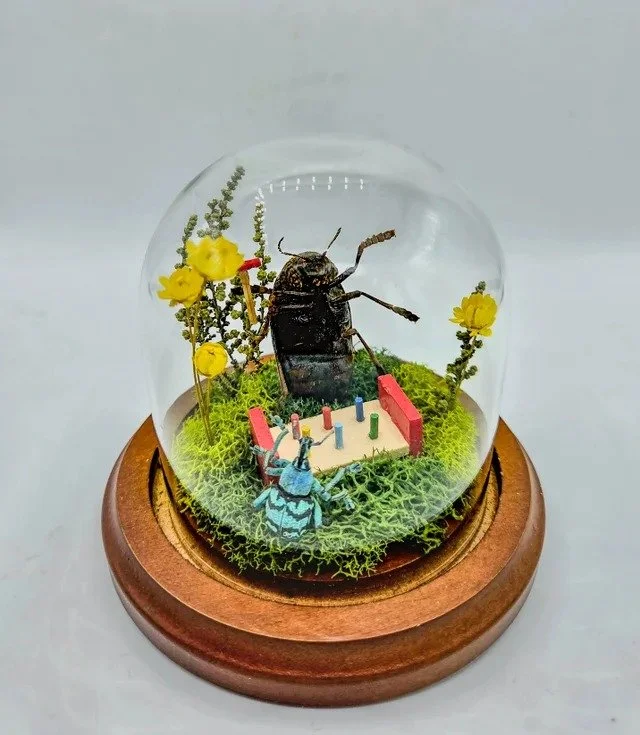 Square Peg, Round Hole - Handmade Insect Diorama